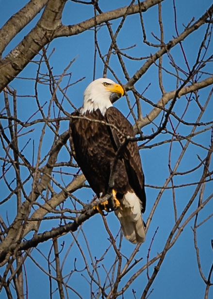 Michigan