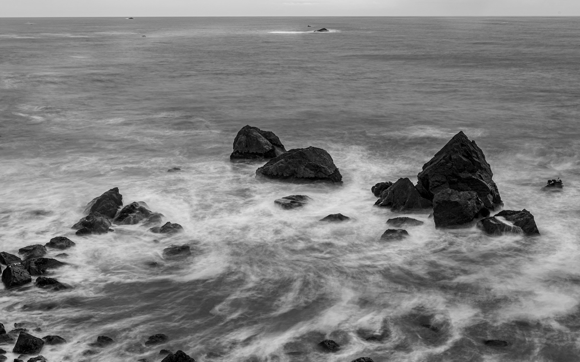 Rocky Shore, 2019