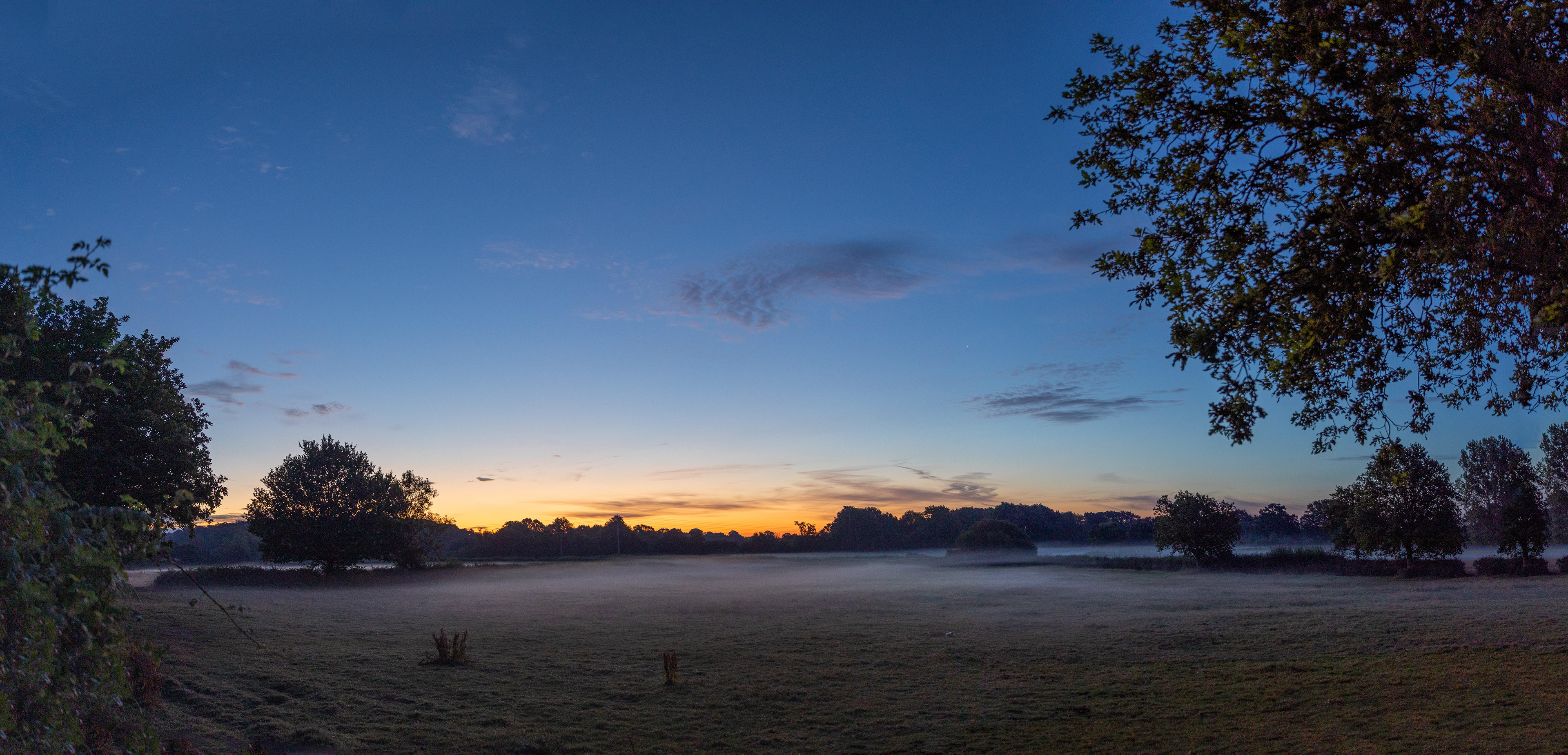 Surrey Hills at Dawn