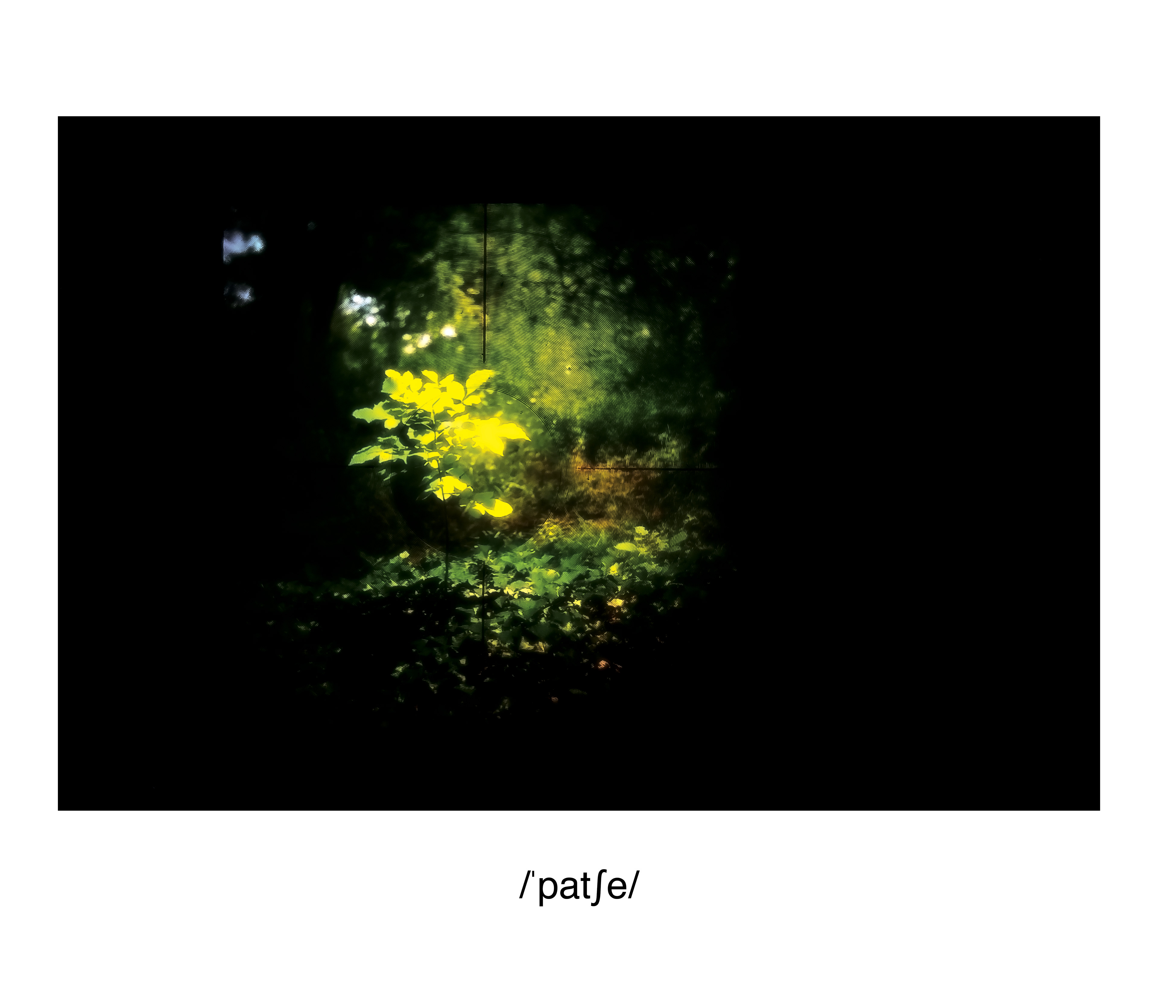 Pace, New York, New York 2019 Archival D-Prints, printed 2020, Edition of 5