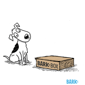Where can I purchase BarkBox? â BARK