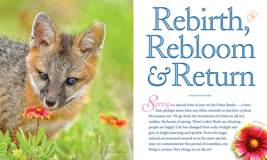Magazine page design: Rebirth, Rebloom and Return