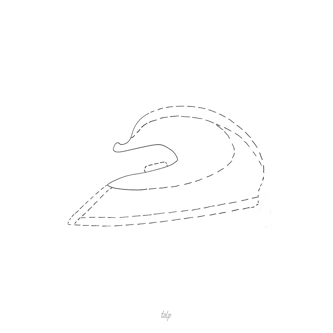 Iron