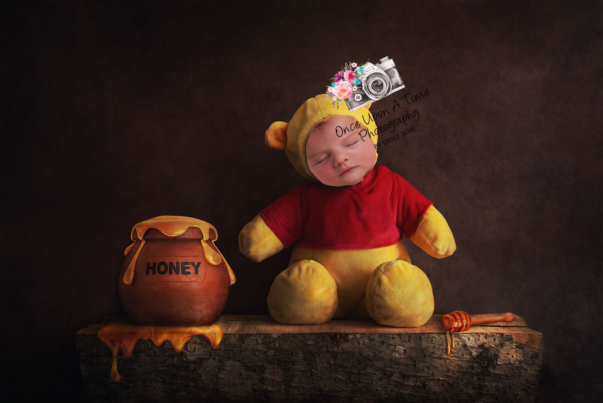Winnie the Pooh Newborn Photographer