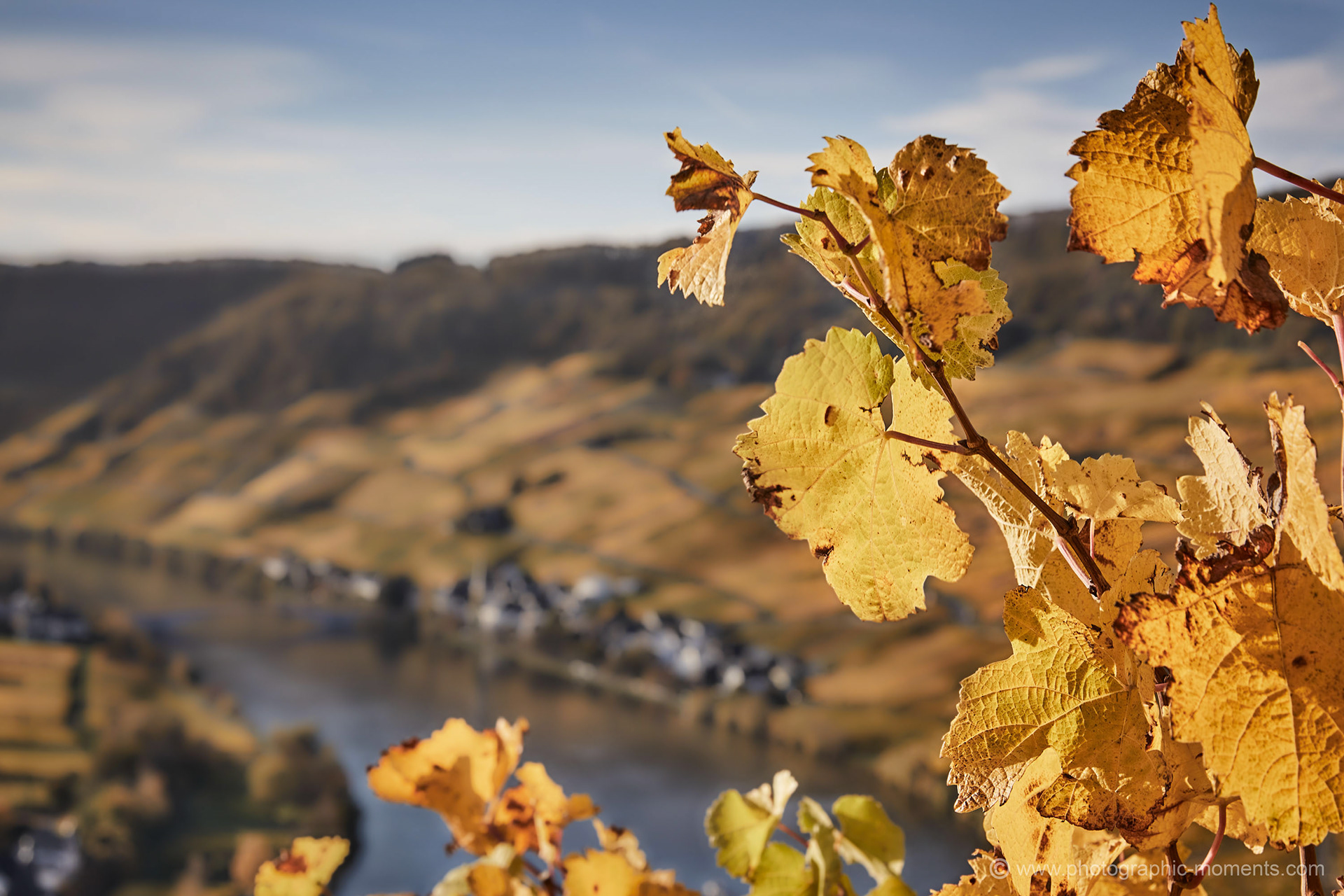 Piesport/ Mosel
