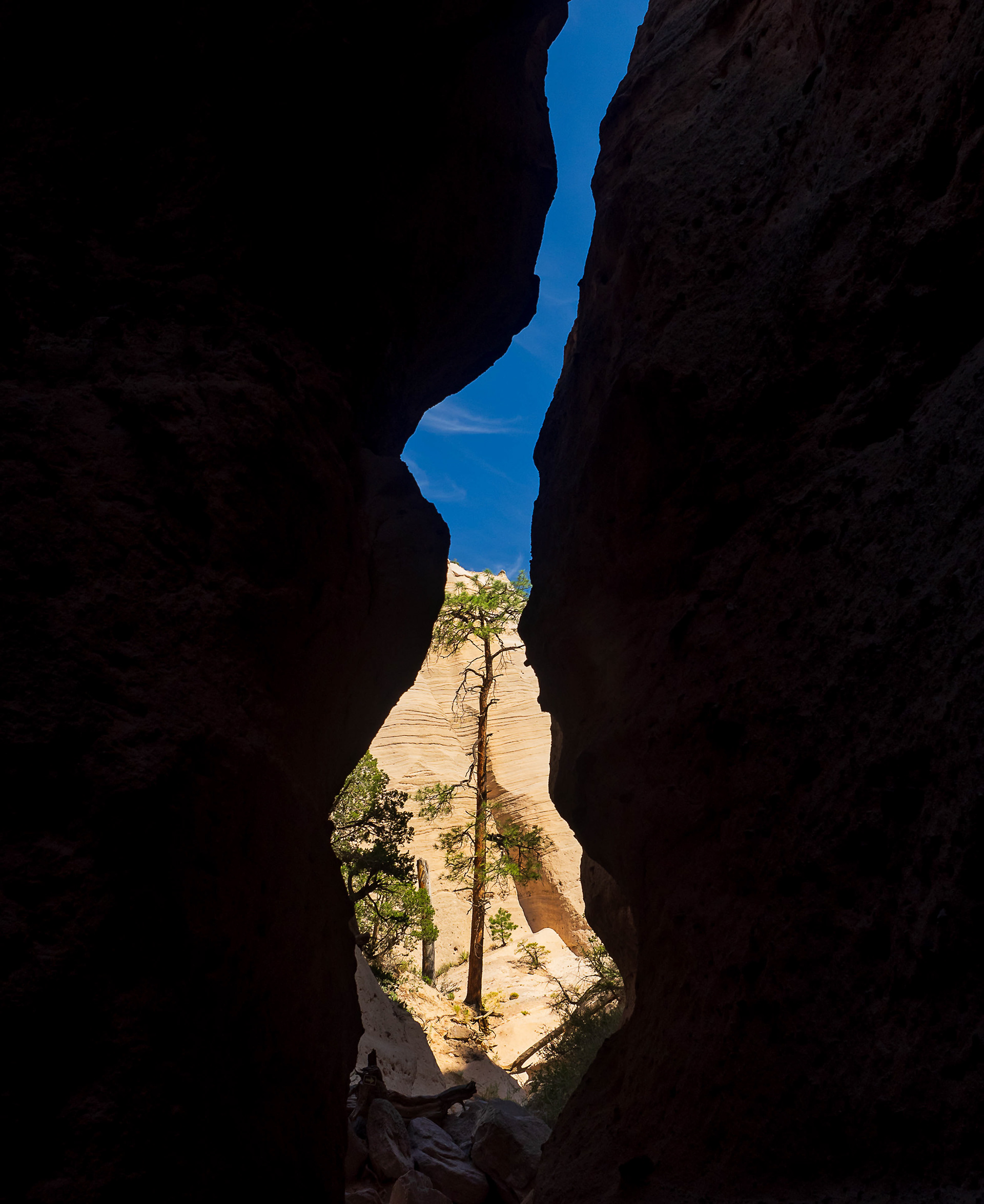 New Mexico