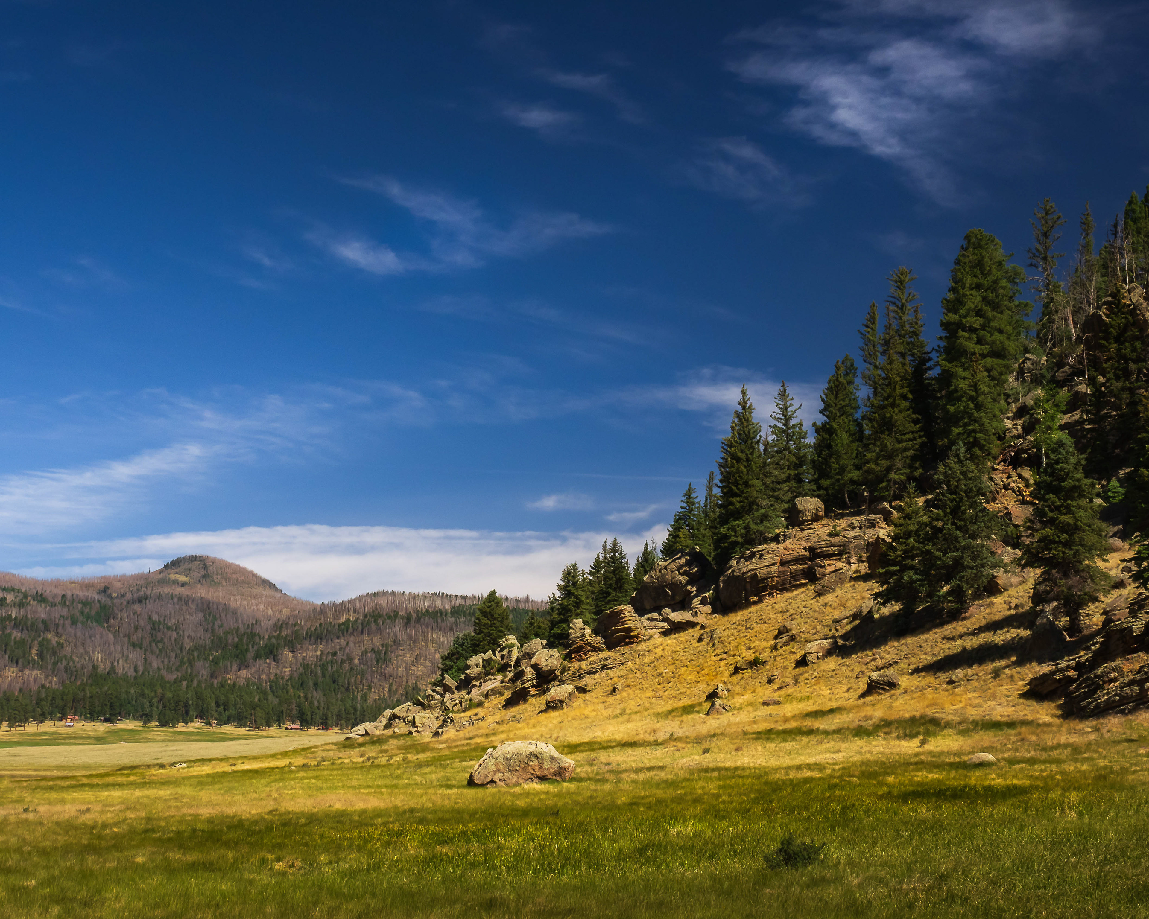New Mexico