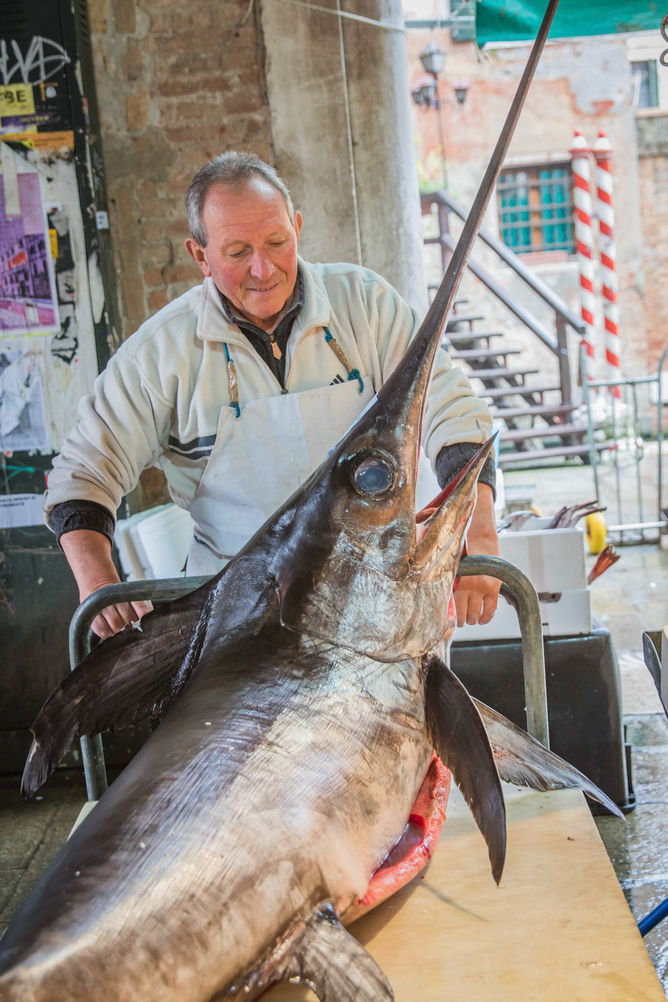 Catch of The Day