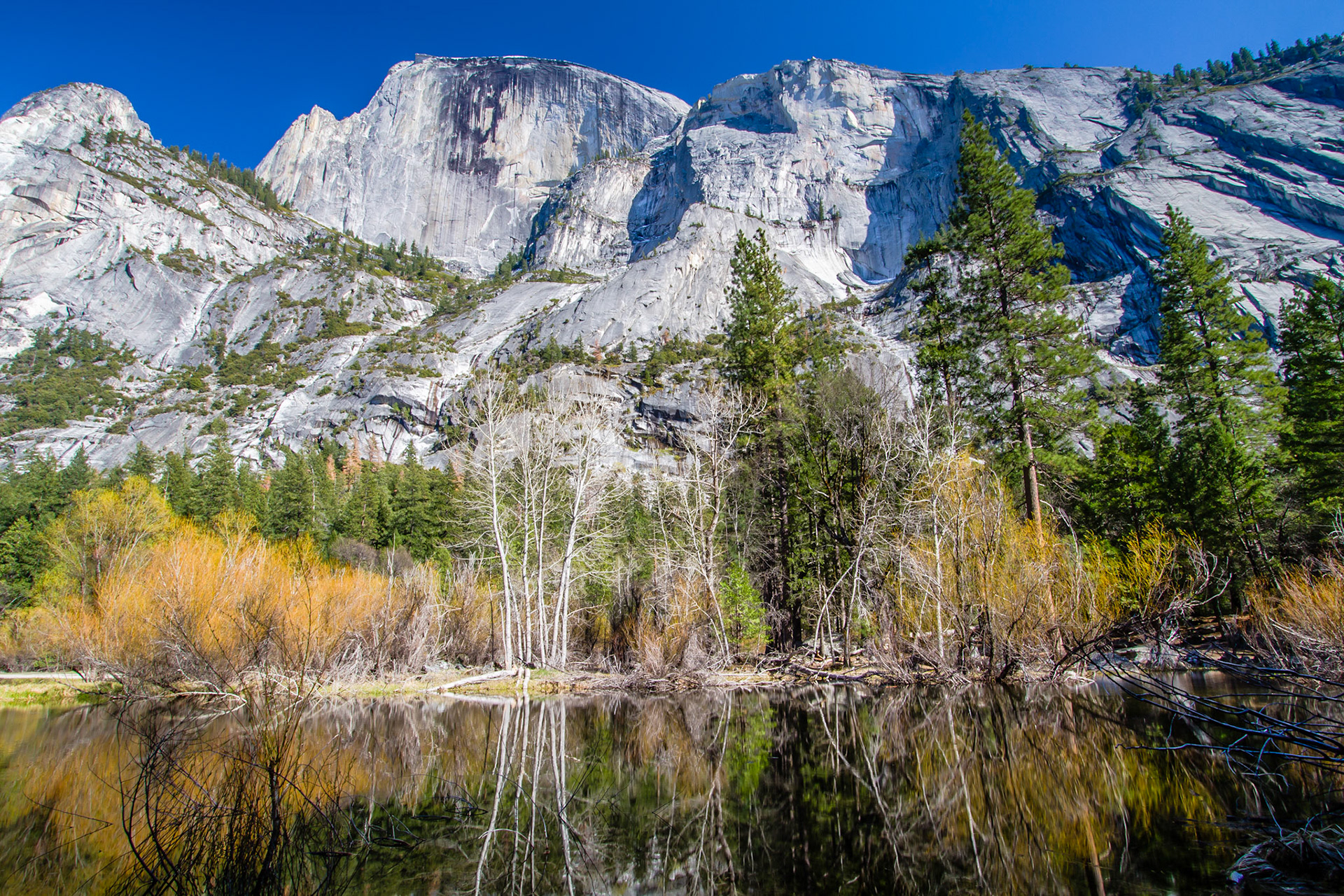 Mirror Lake view of the face of Half Dome-Yosemite National Park