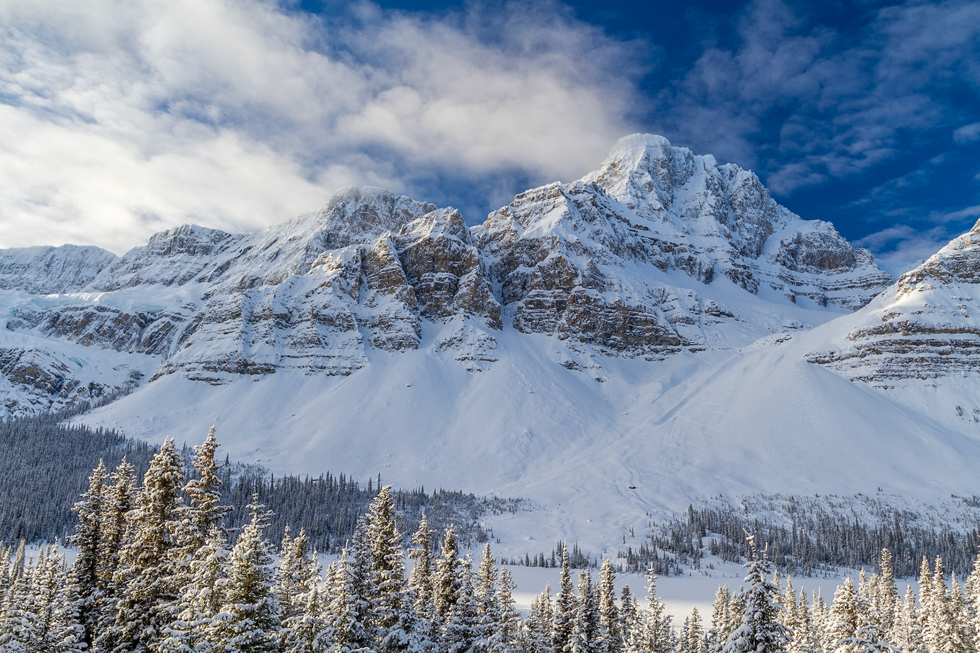 View from Bow Lake