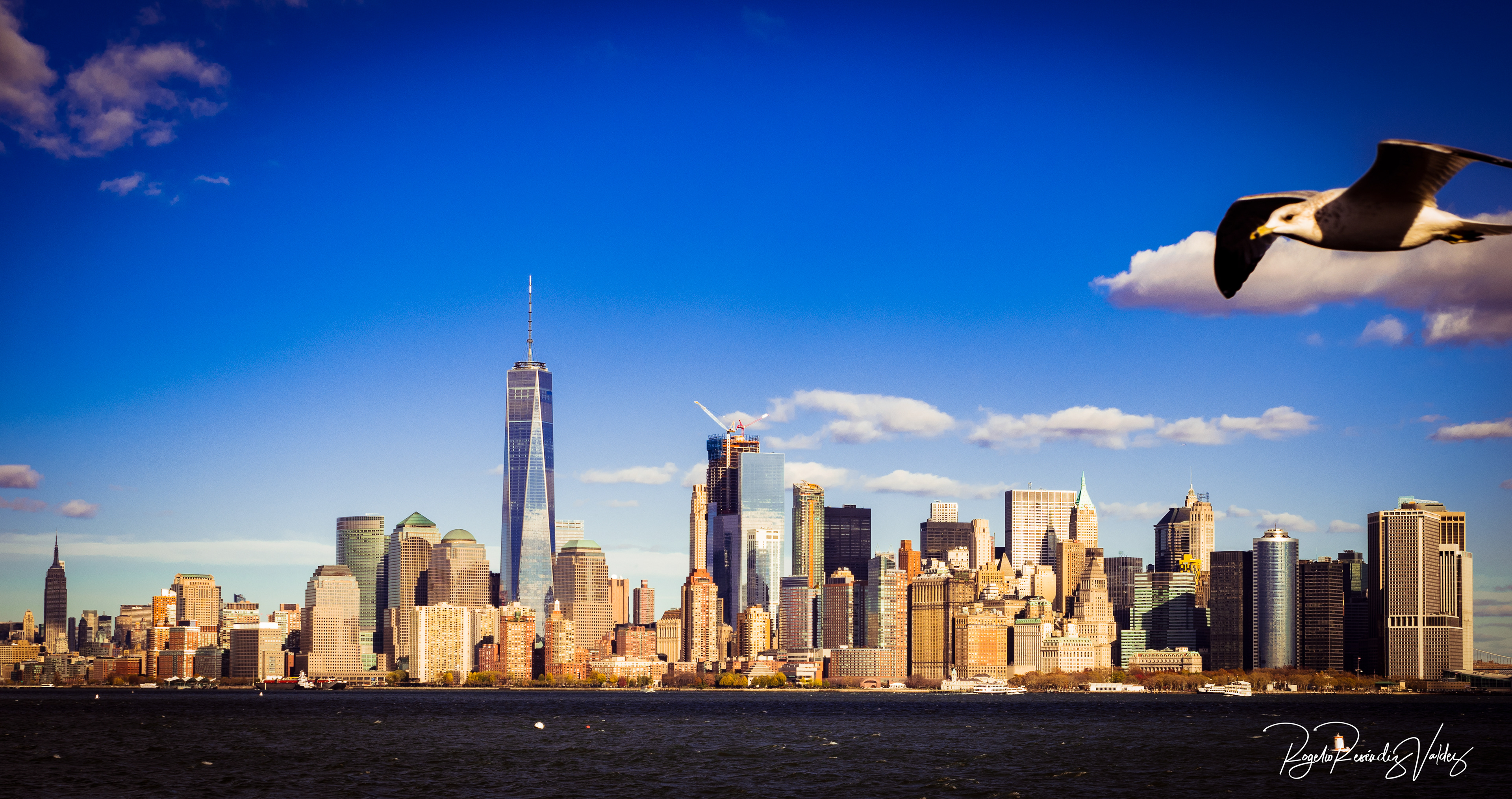 Manhattan Skyline from Liberty Island - New York, NY
