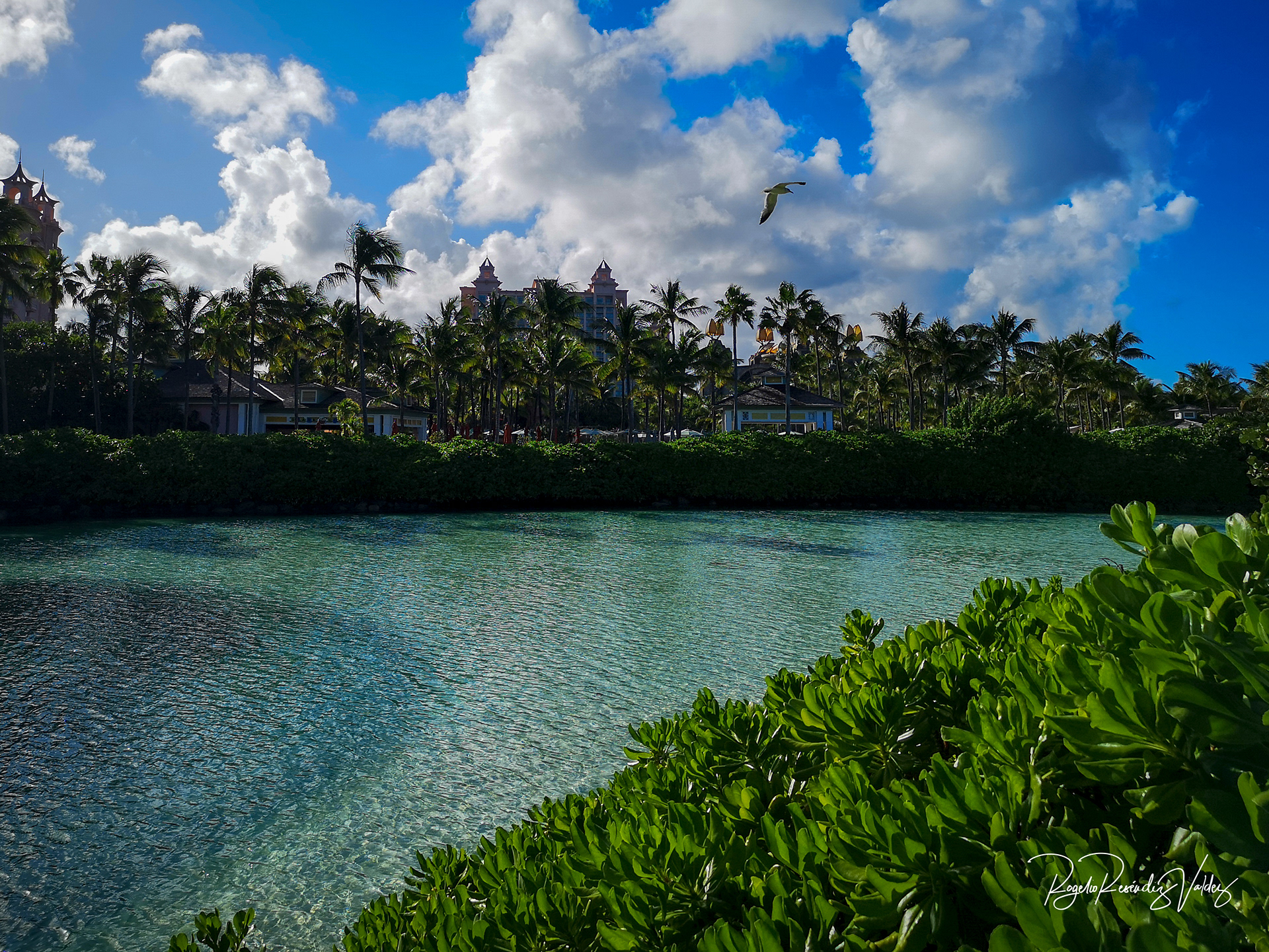 Atlantis Paradise Island - Bahamas