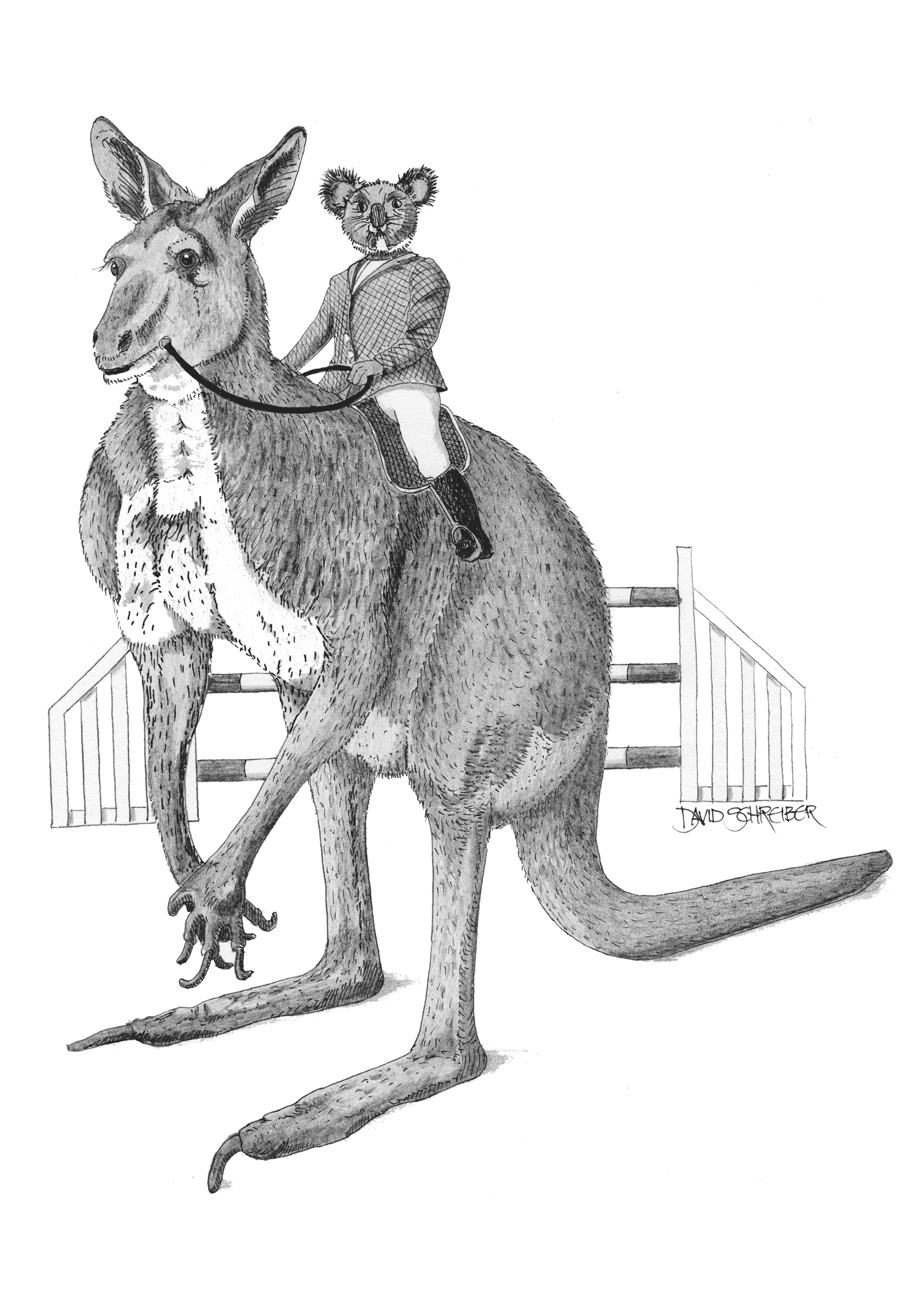 The Showjumper