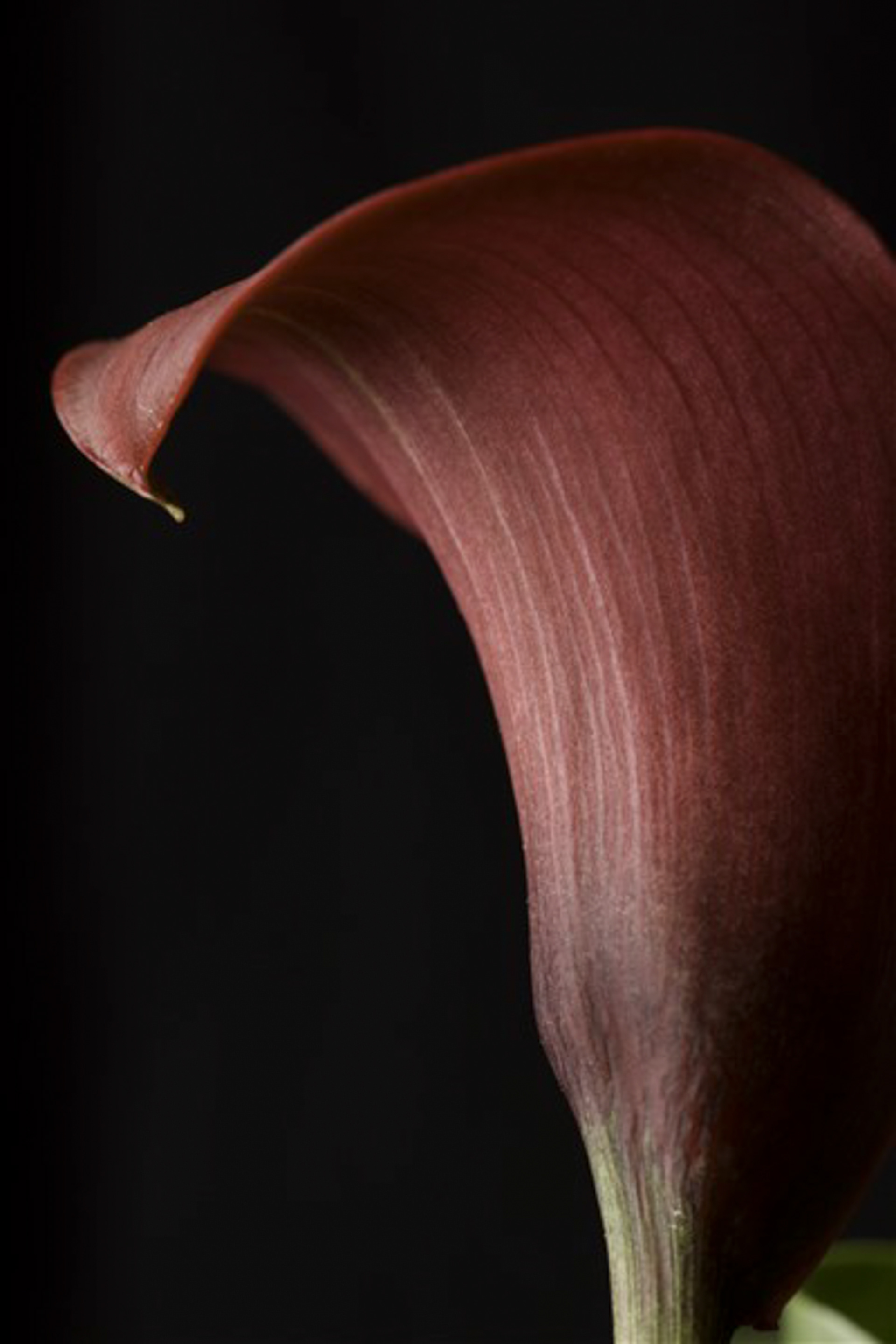 2014 Digital Photograph