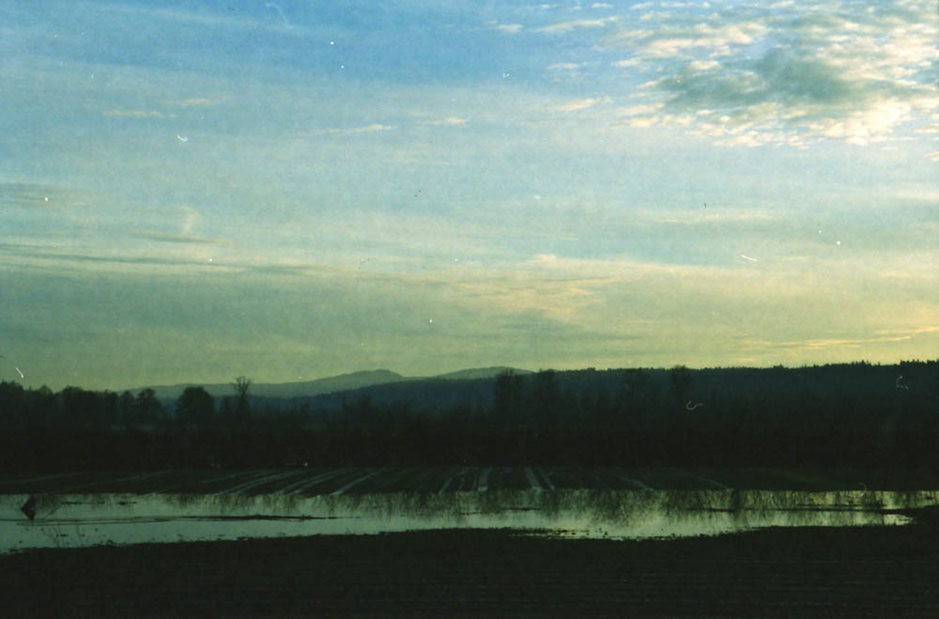 2017 Digital Photograph