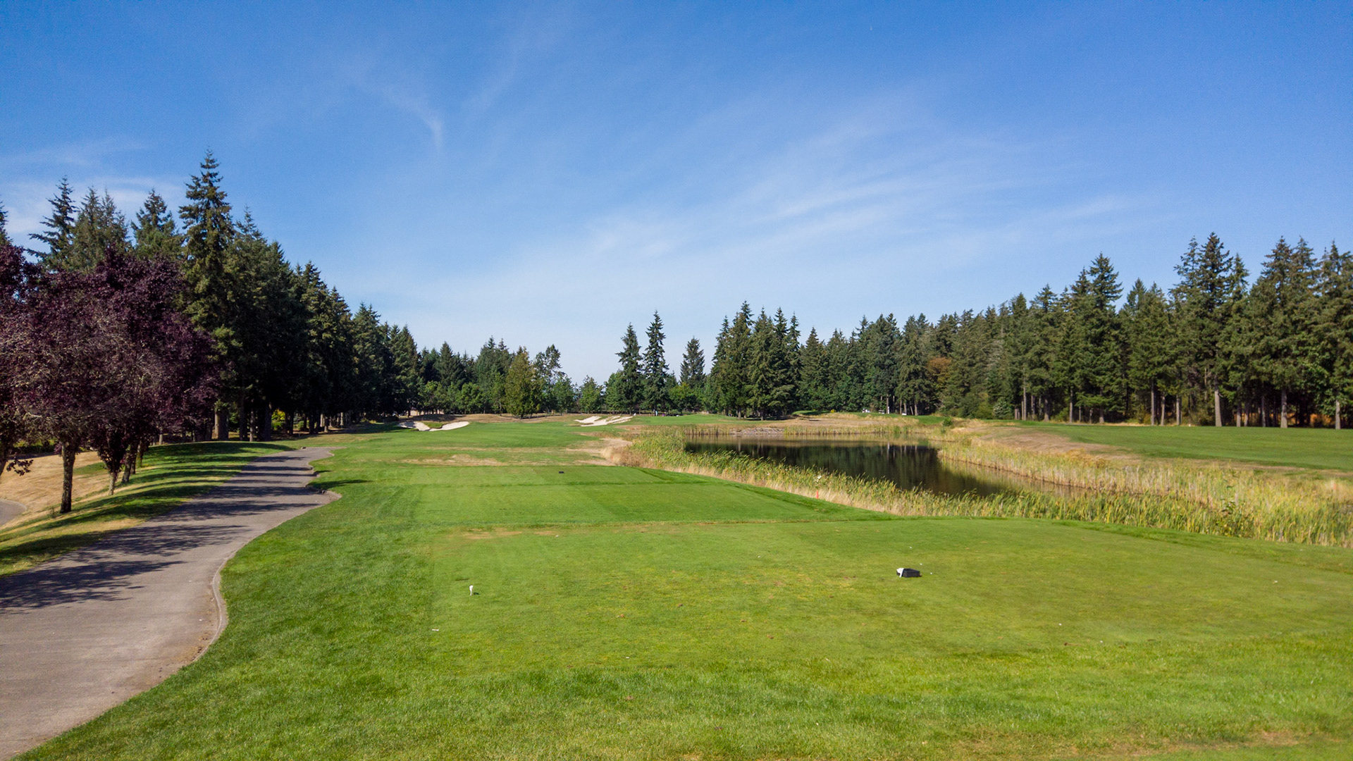 Gilbert Nickelson Washington National Golf Course (My Home Course)