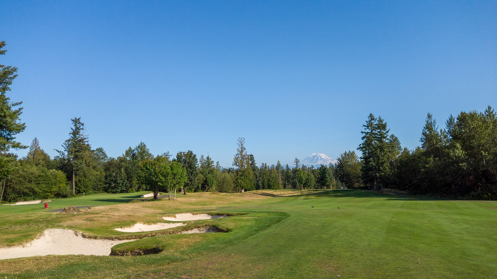 Gilbert Nickelson Druids Glen Golf Course, Kent, WA