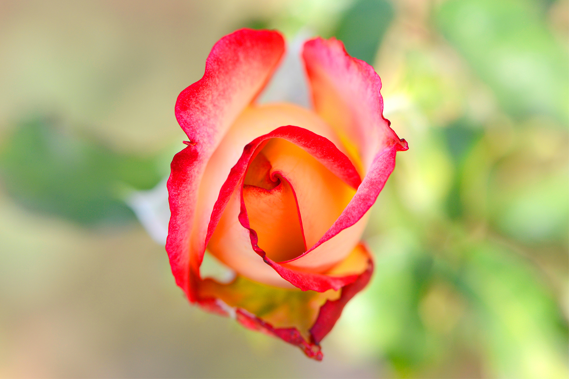012 HDR — 6 Sept 2018
