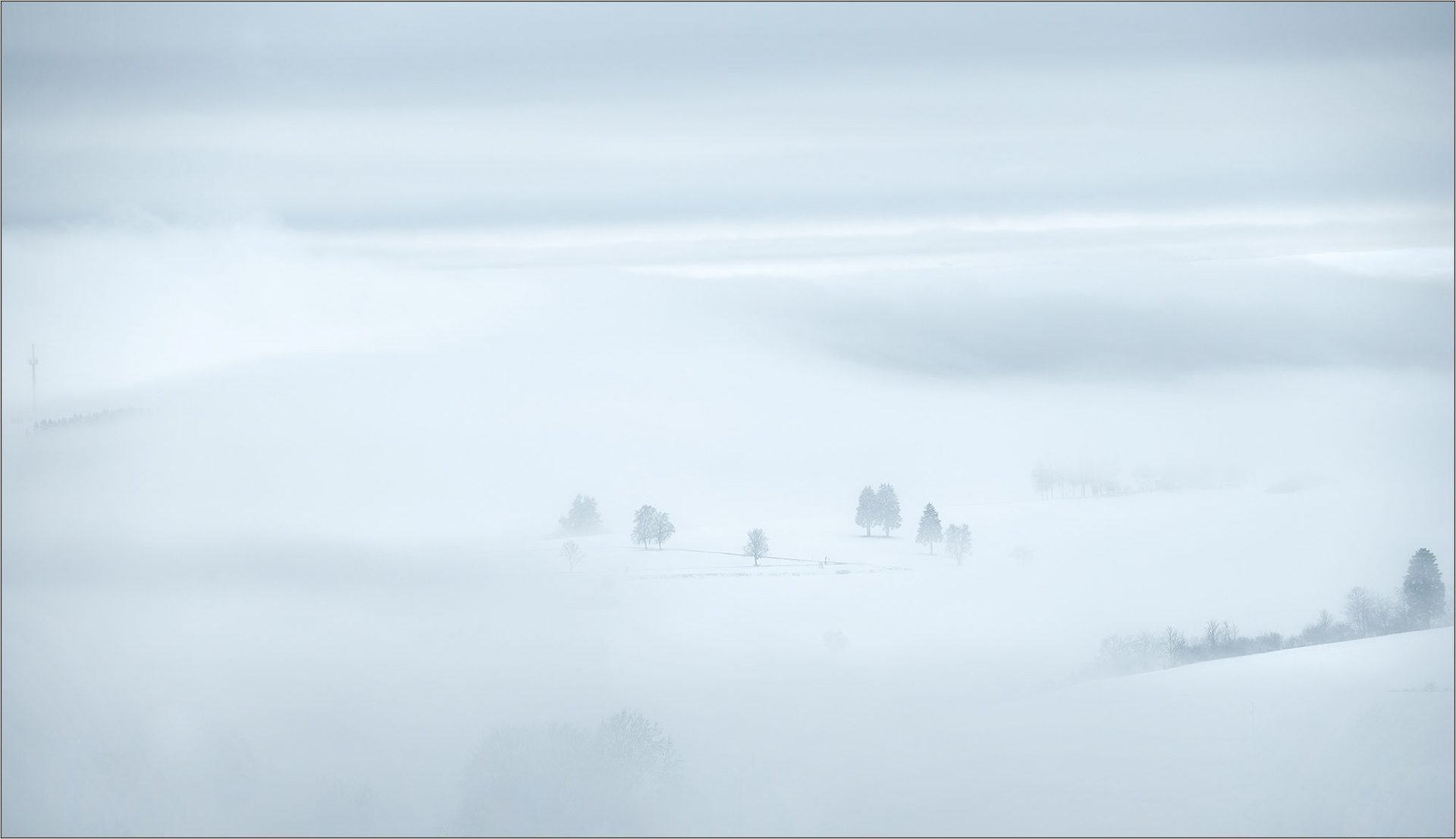 Failed, Black Forest - Large Format Print - Limited Edition - Steffen Freiling