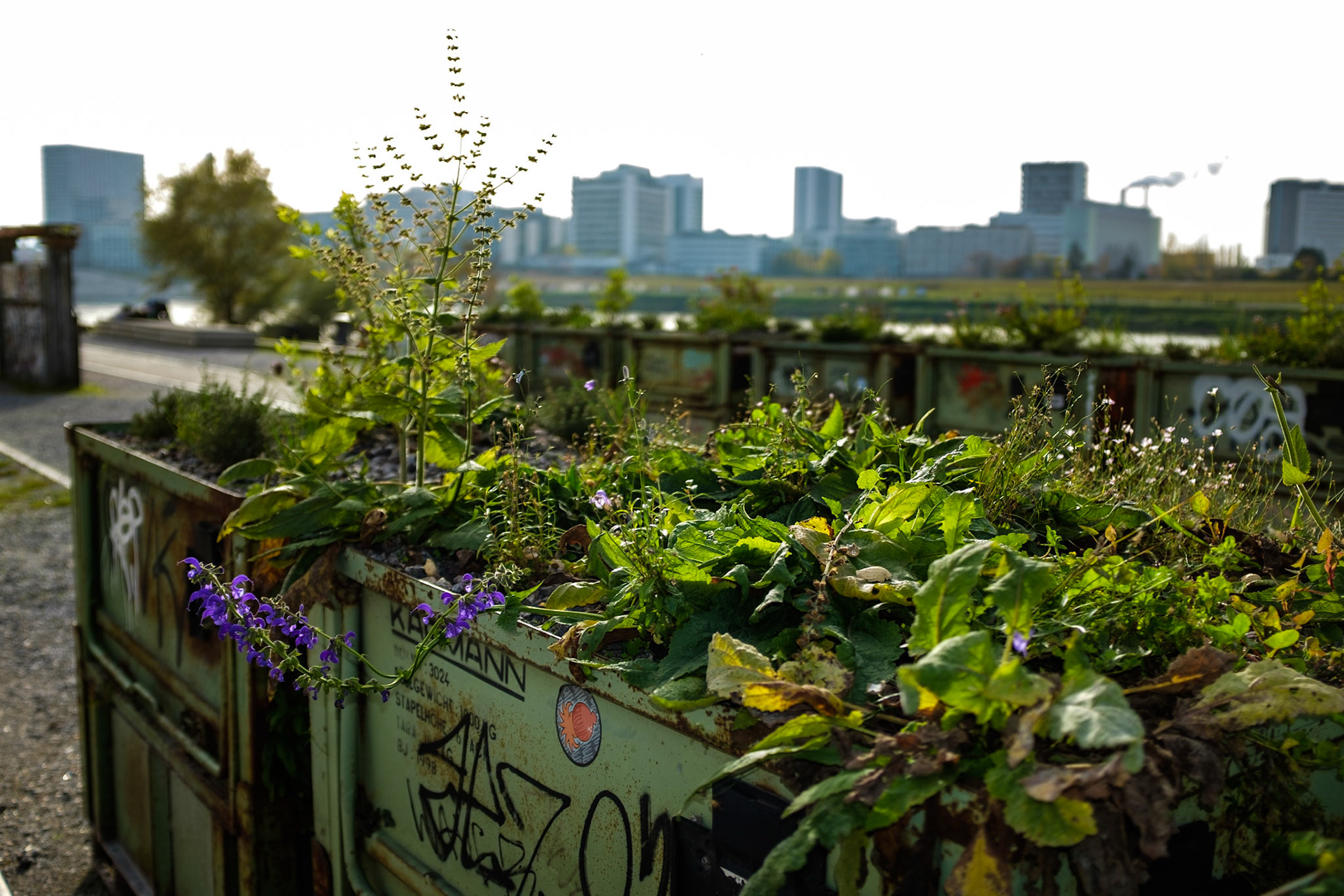 Urban Gardening