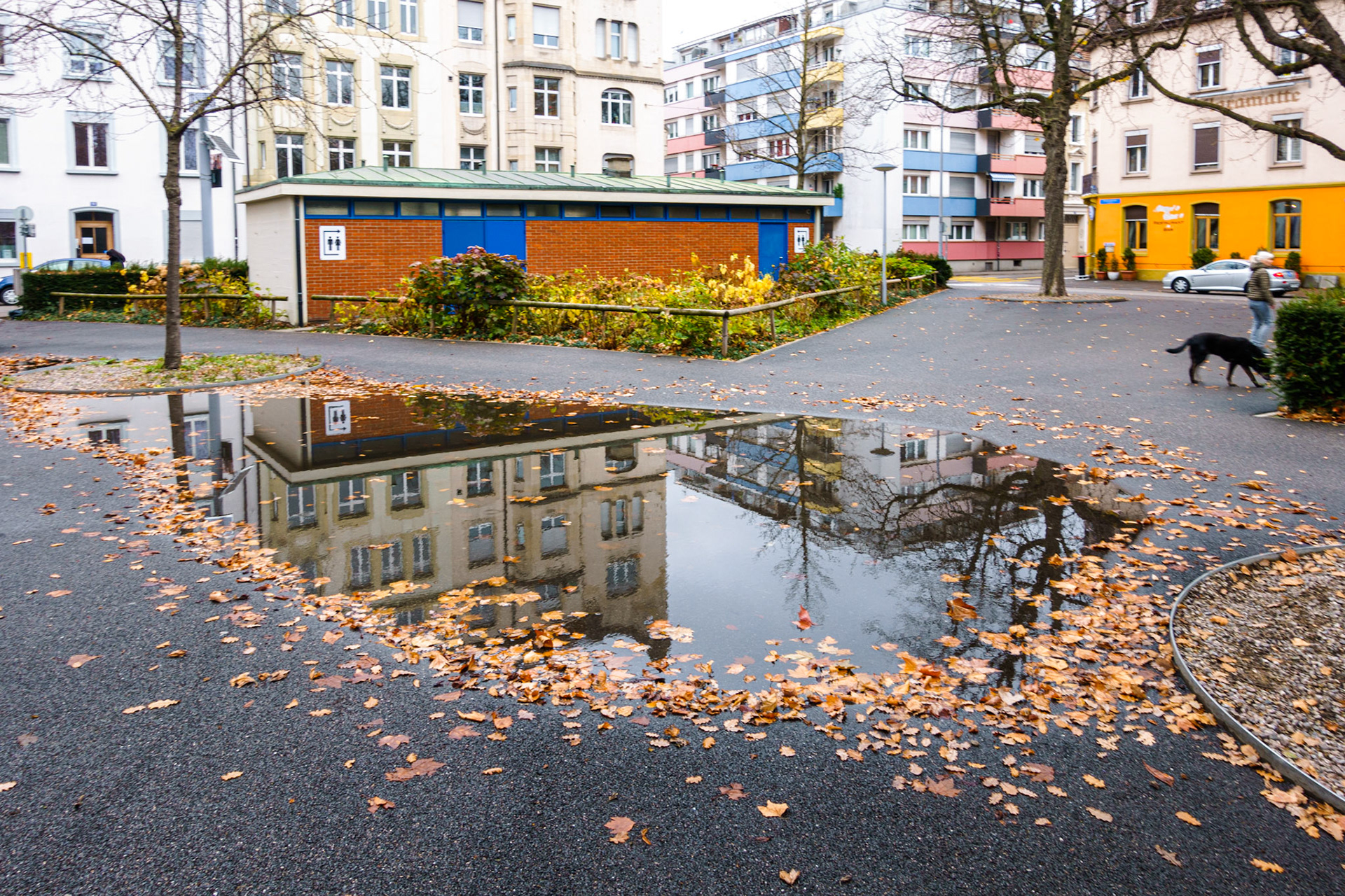 Puddle