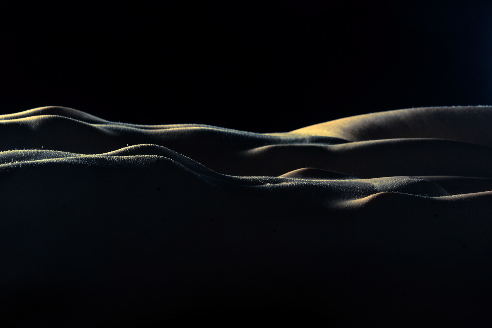 Evening light