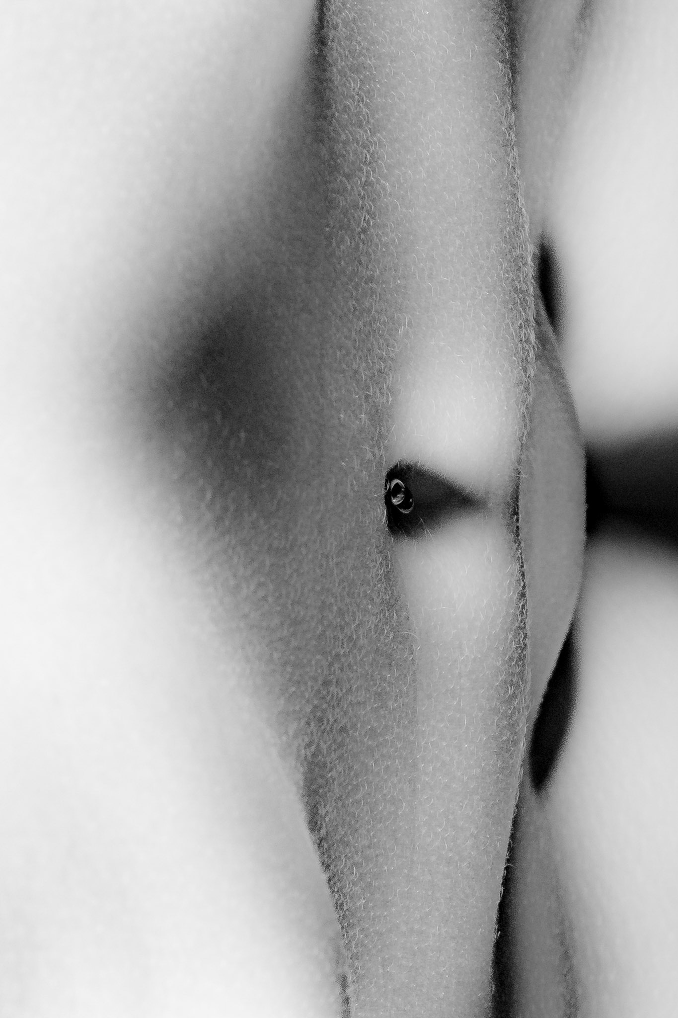 Eye