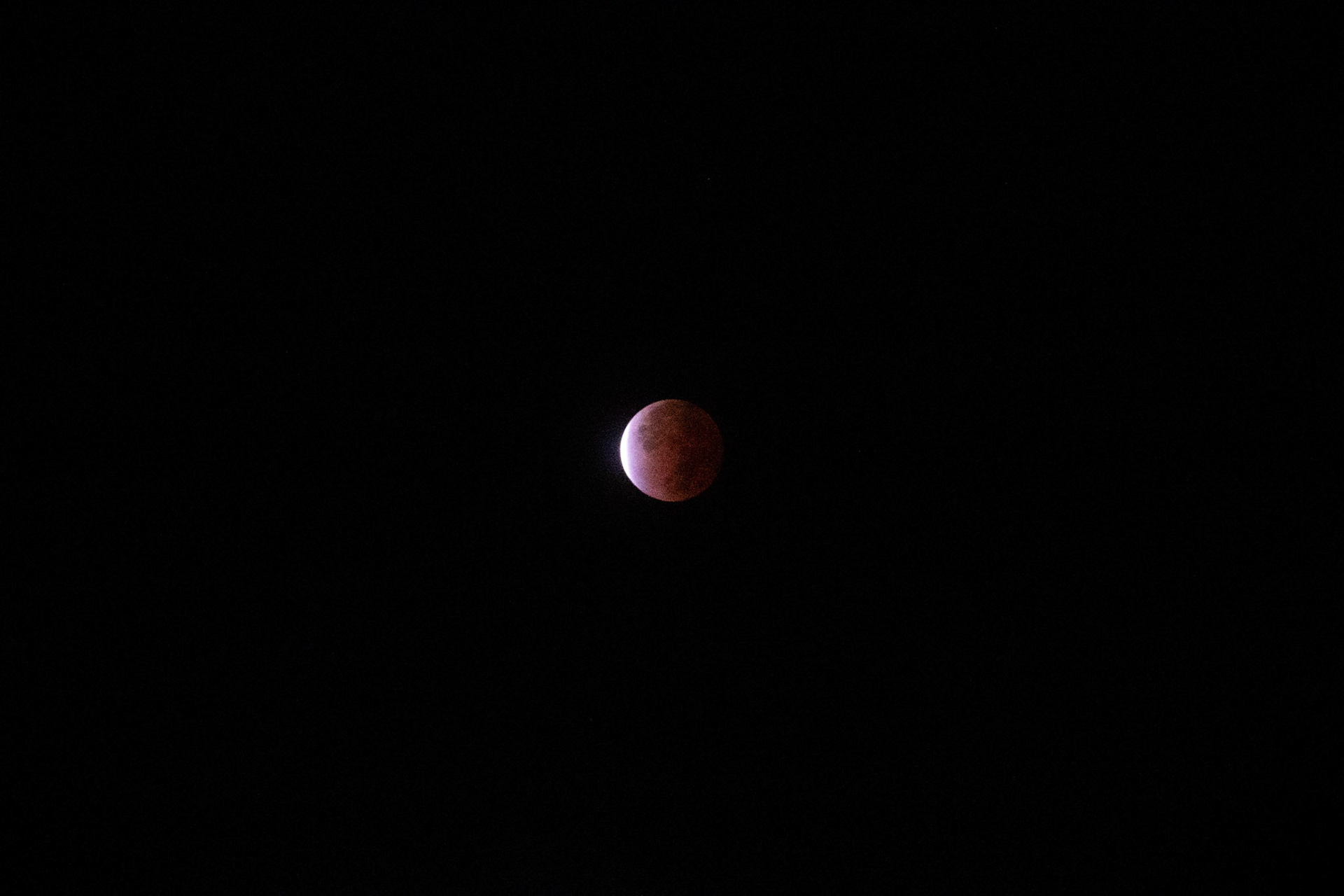 Max exclipse, shot from the tailgate of Collin's pickup