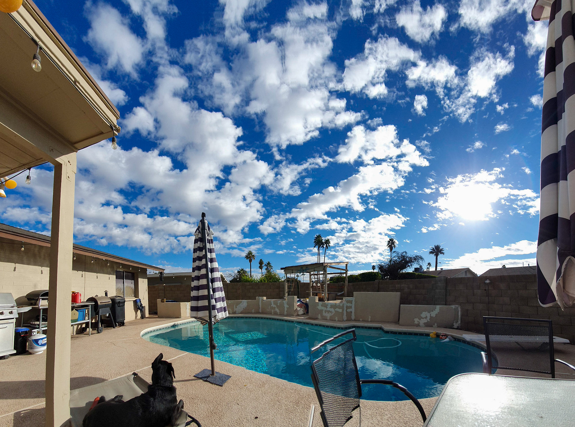 Back in Tempe, getting a last dose of Vitamin D