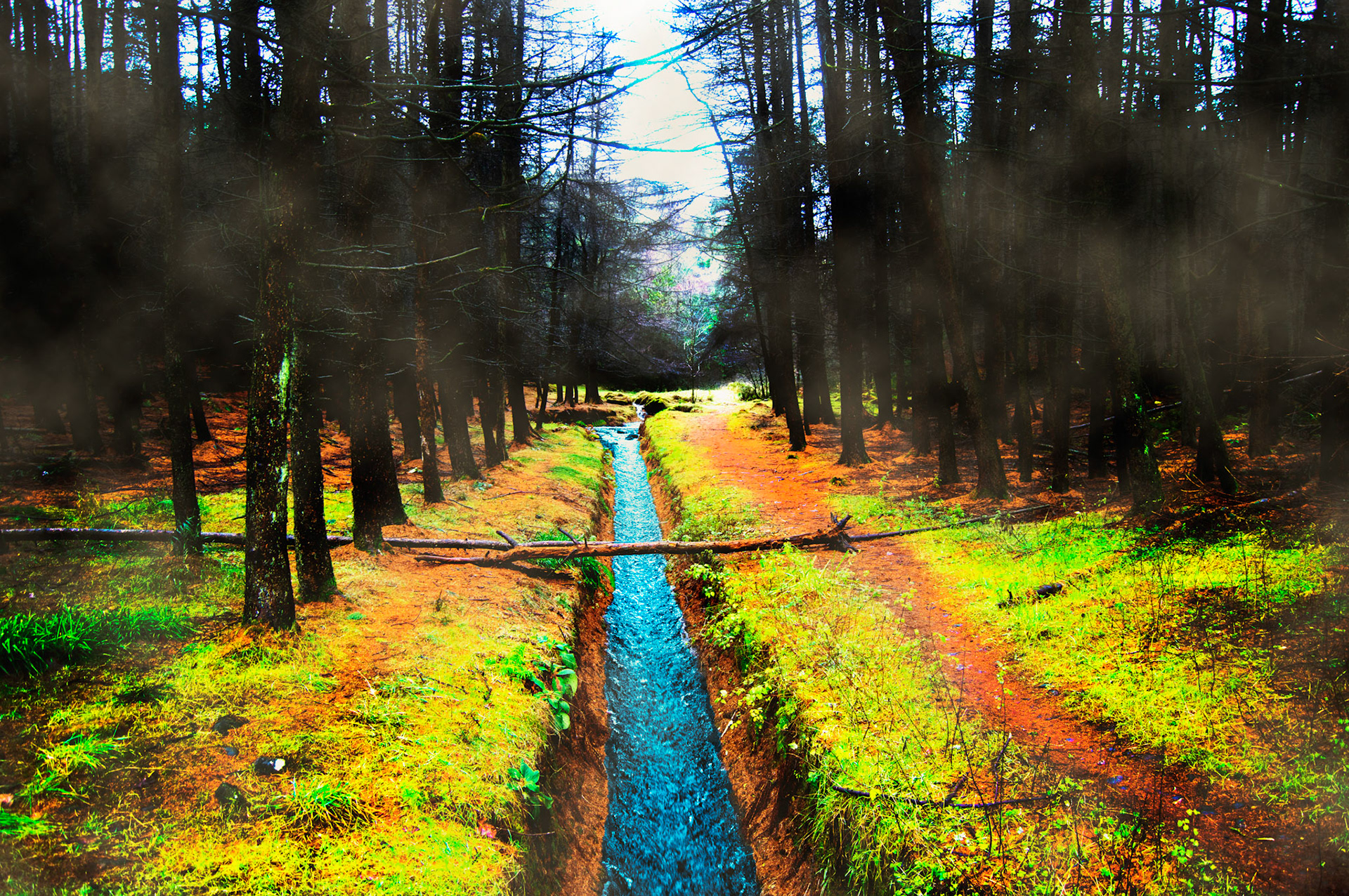 Nature and Landscape Photographer