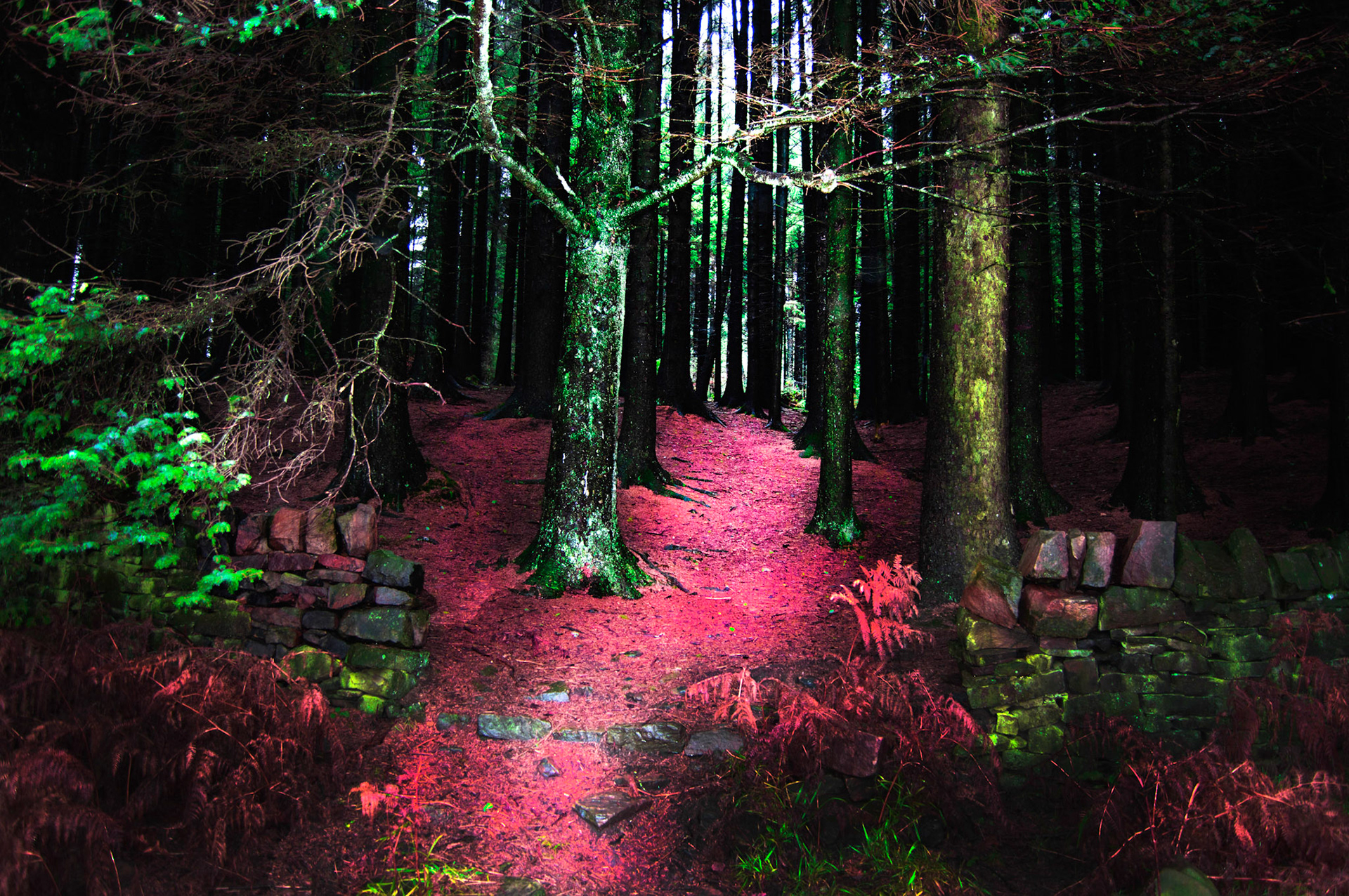 Landscape Nature photographer