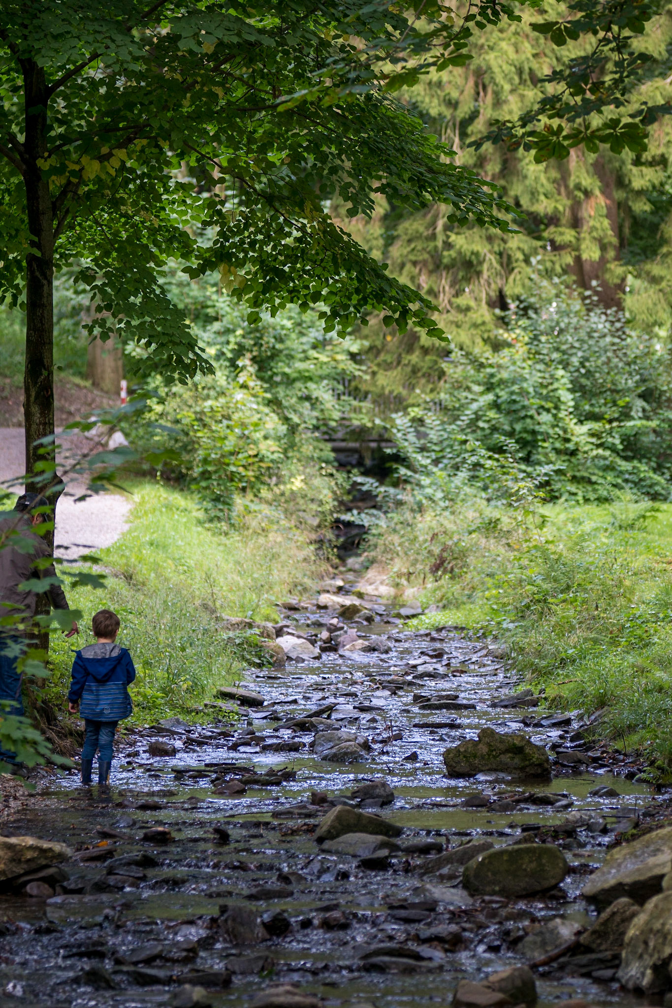 Im Steinway Park Seesen