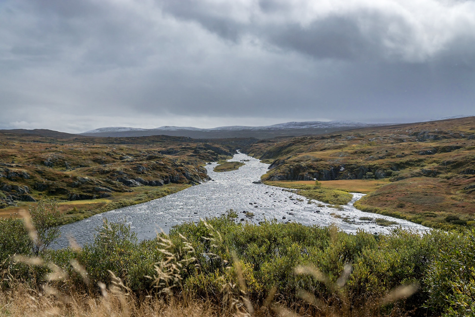 Sony ILCA-77M2 | DT 16-50mm F2.8 SSM @ ISO 100 | 24 mm | f/4.5 | 1/2000 s