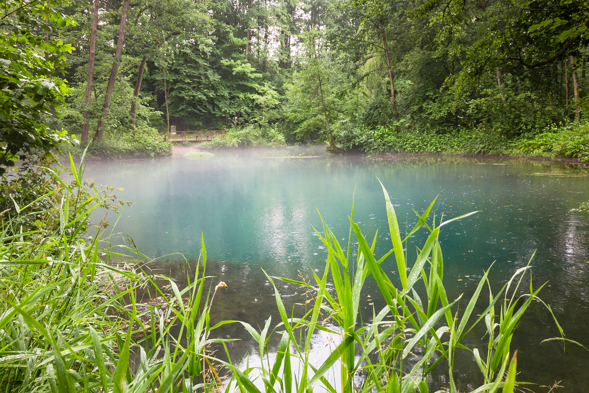 Apple iPhone 8 | iPhone 8 back camera 3.99mm f/1.8 @ ISO 40 | 3.99 mm | f/1.8 | 1/120 s