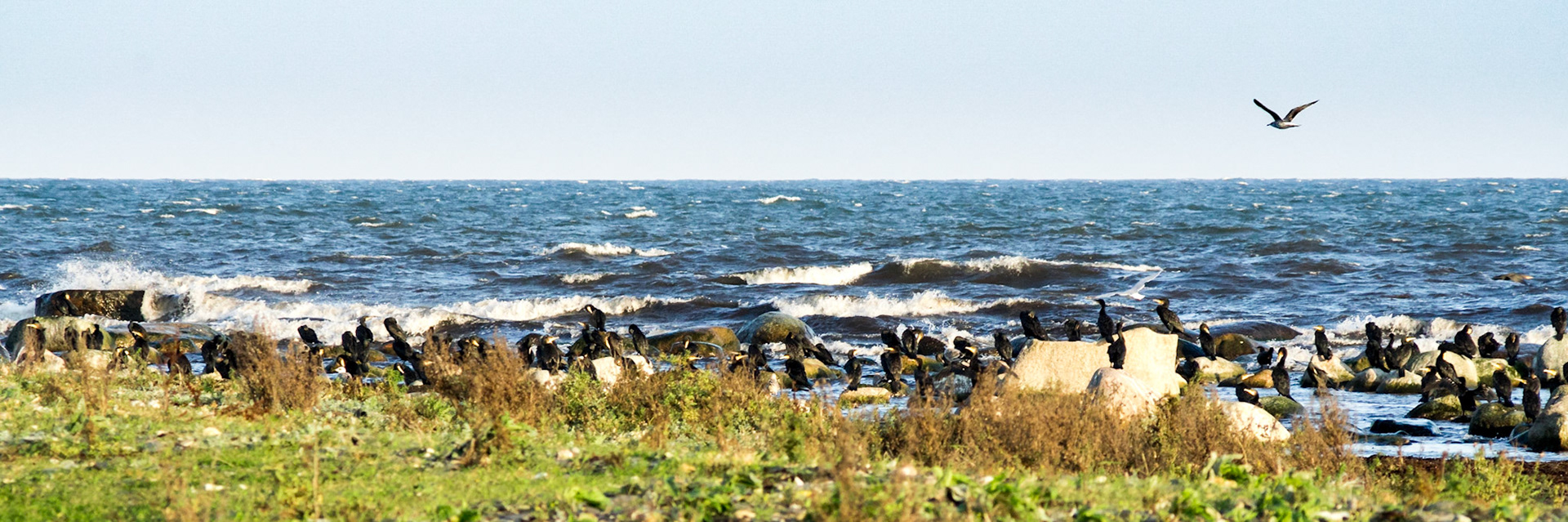 ISO 800 | 210 mm | f/10 | 1/400 s