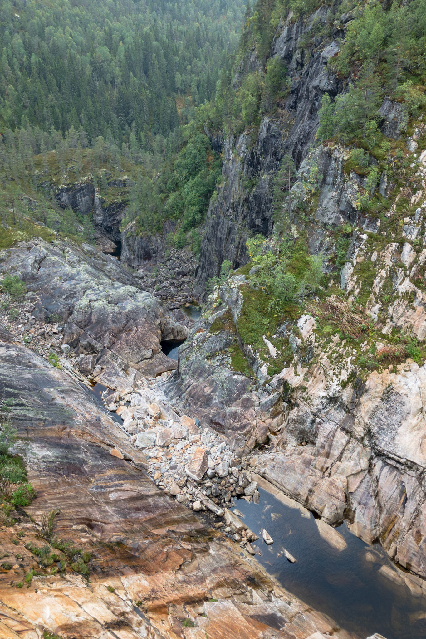 Apple iPhone 8 @ ISO 20 | 3.99 mm | f/1.8 | 1/250 s