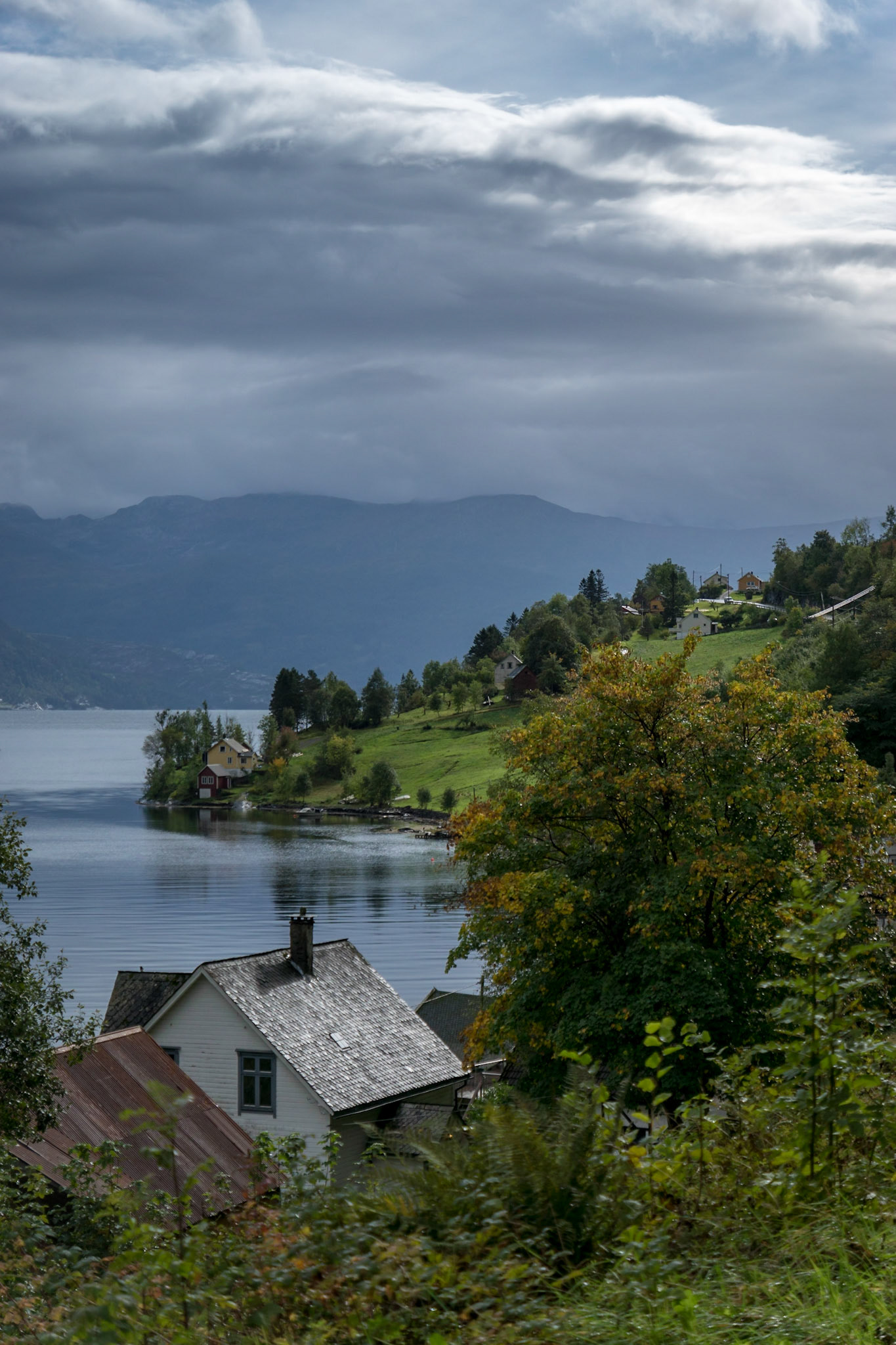 Sony ILCA-77M2 | DT 16-50mm F2.8 SSM @ ISO 100 | 50 mm | f/2.8 | 1/3200 s