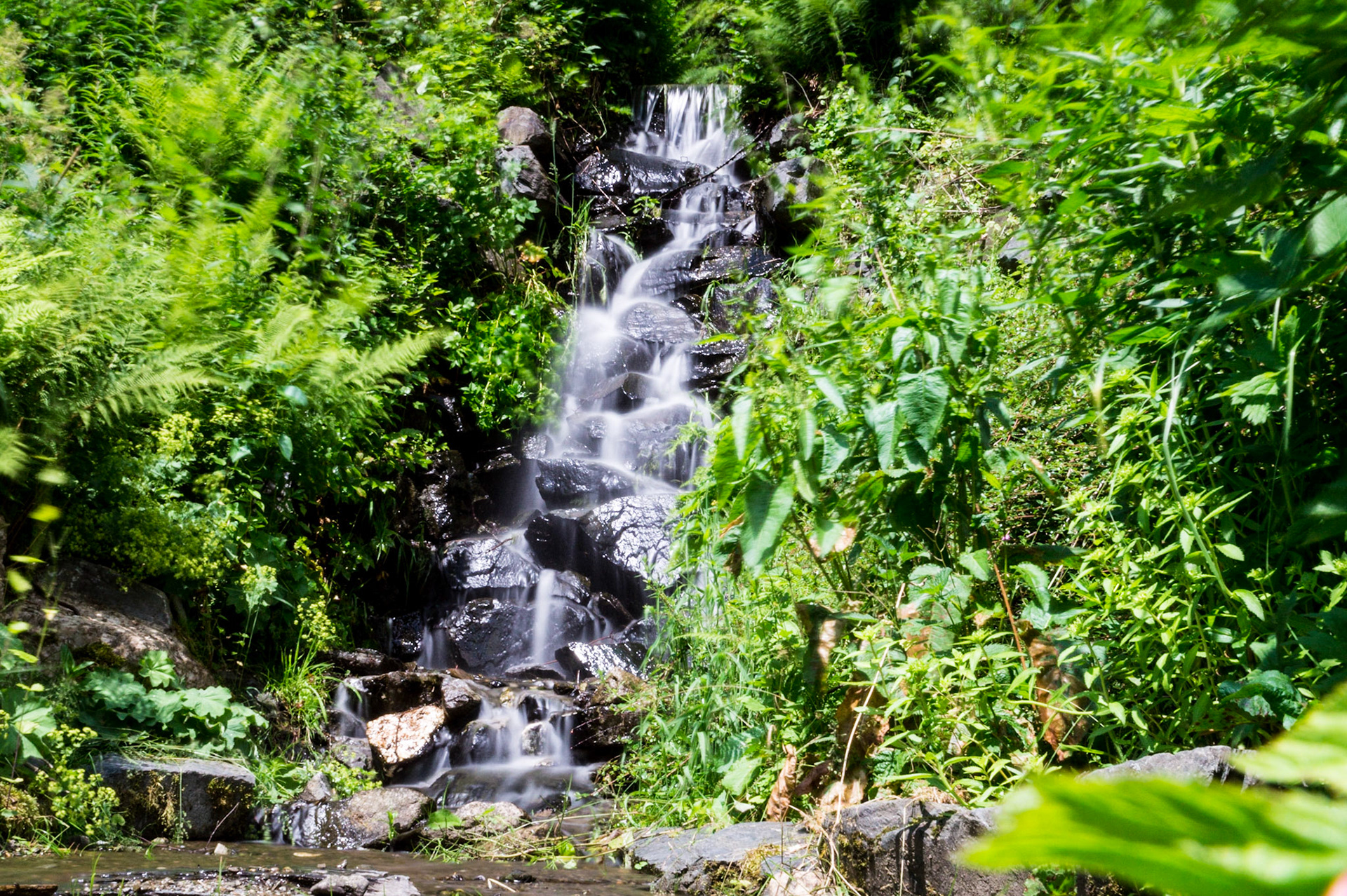 Wasserfall / Waterfall - Kräutergarten / Herb garden Altenau