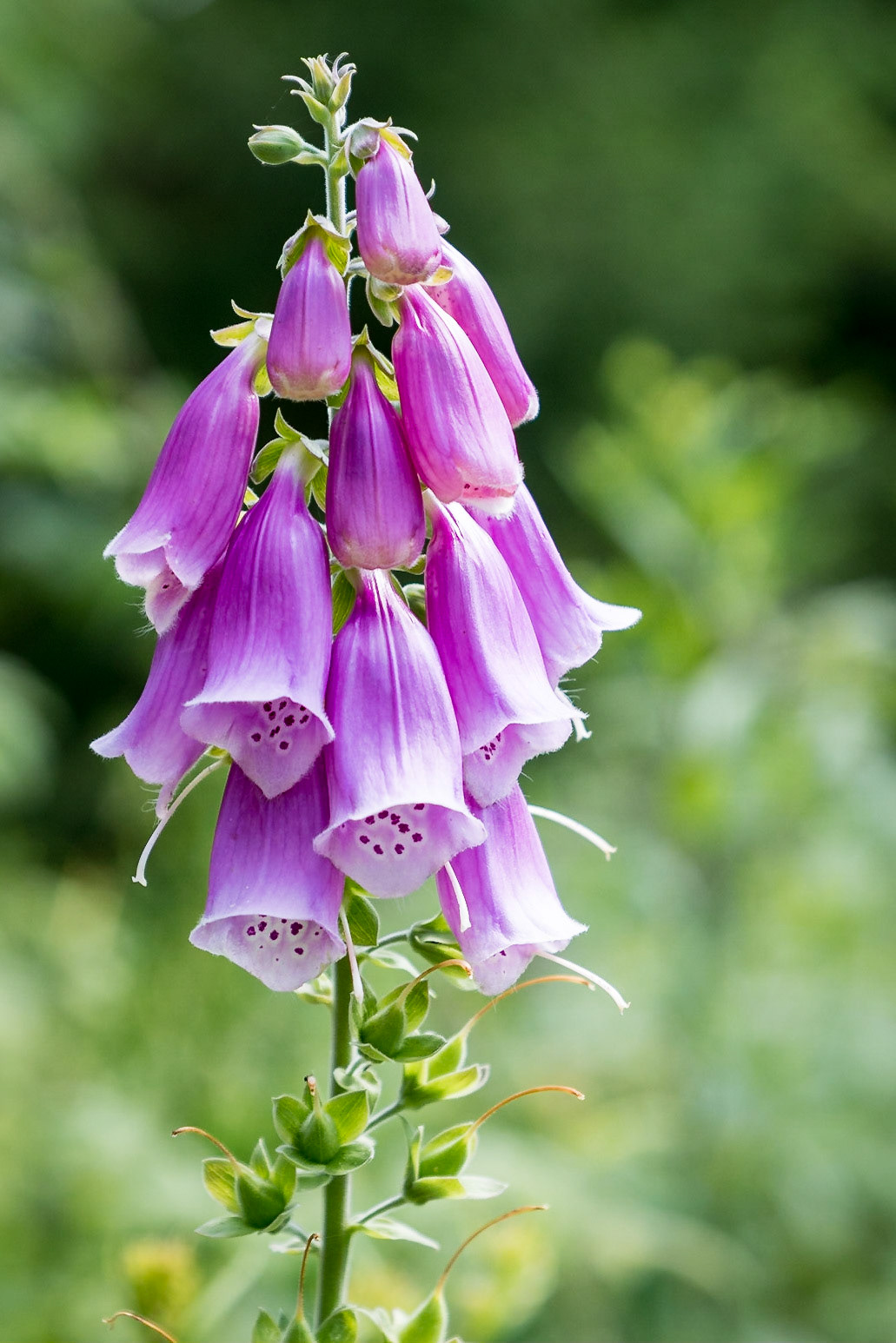 Sony ILCA-77M2 | DT 16-50mm F2.8 SSM @ ISO 100 | 50 mm | f/3.5 | 1/320 s