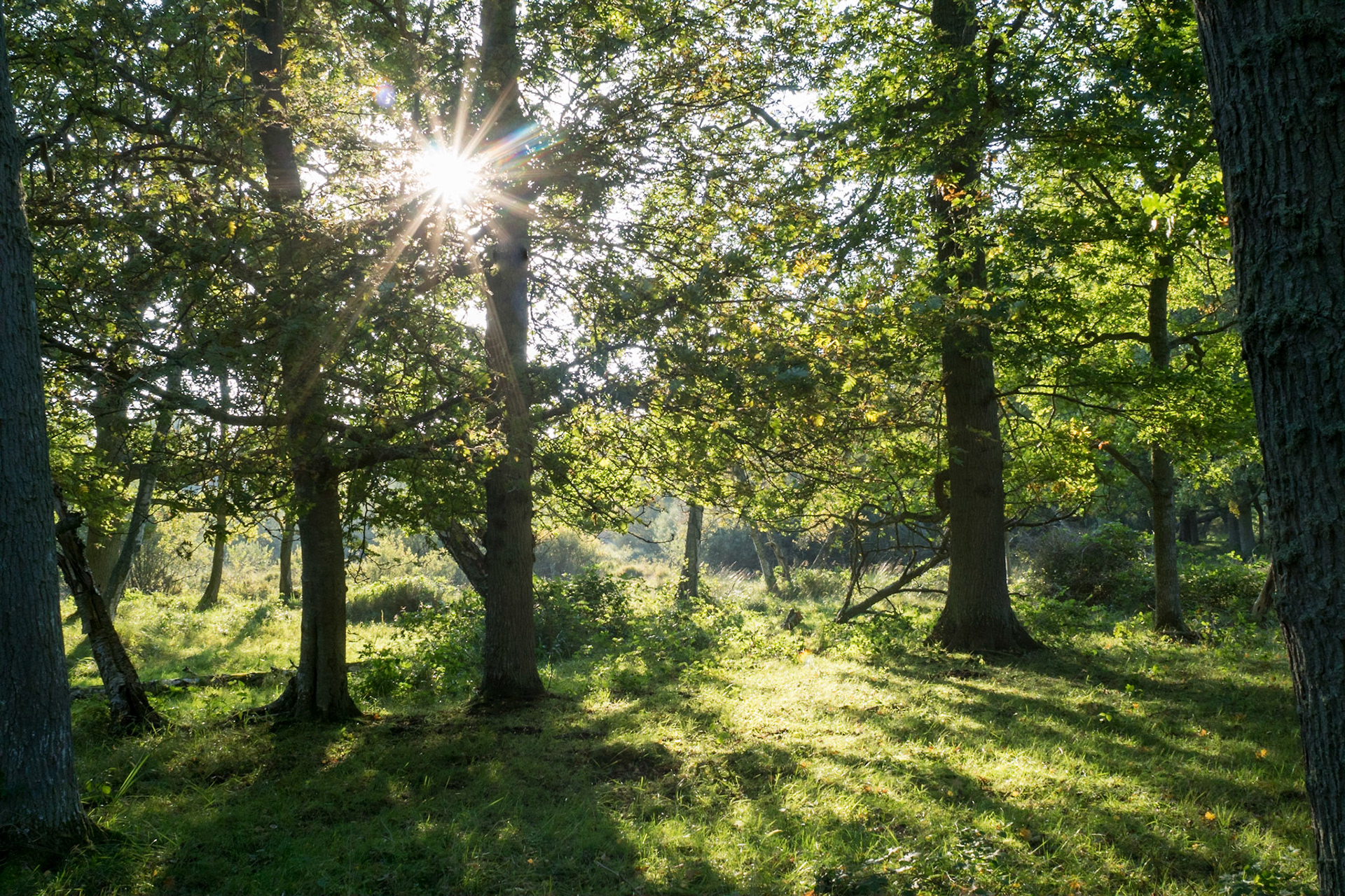 ISO 500 | 24 mm | f/14 | 1/60 s