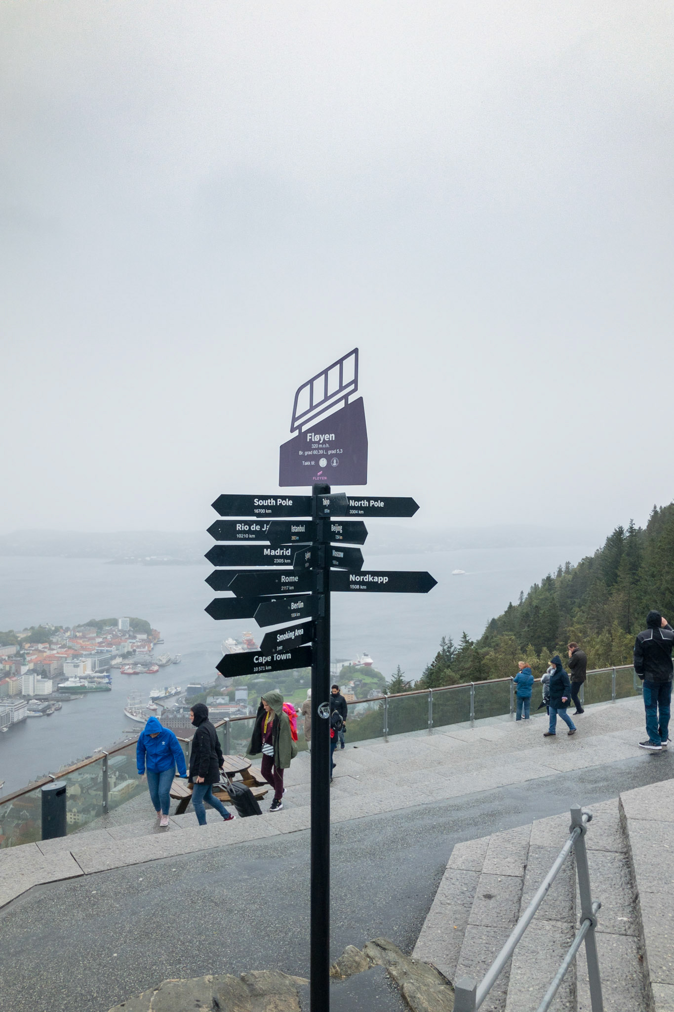 Apple iPhone 8 @ ISO 25 | 3.99 mm | f/1.8 | 1/12000 s