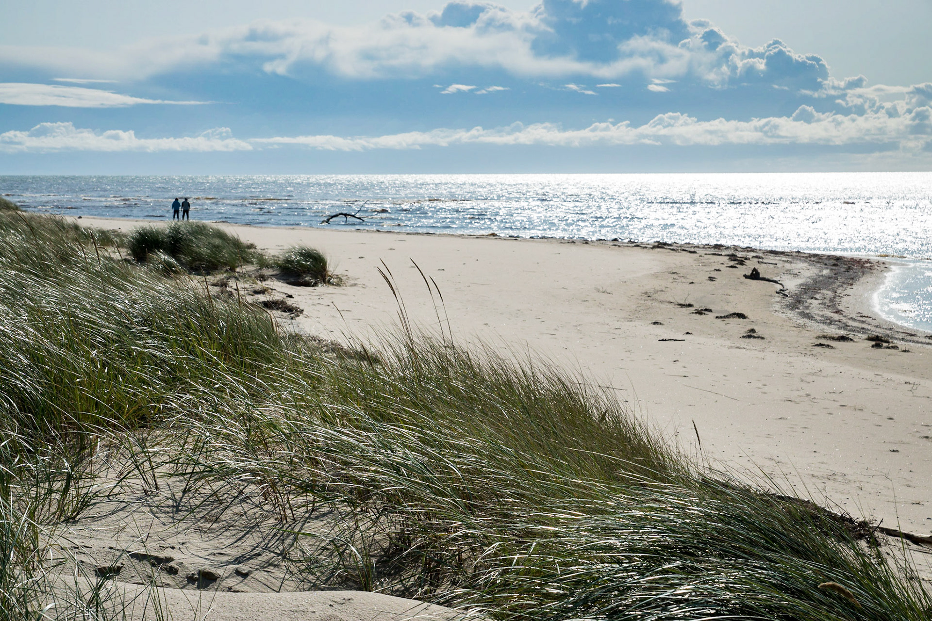 Ein Tag am Meer
