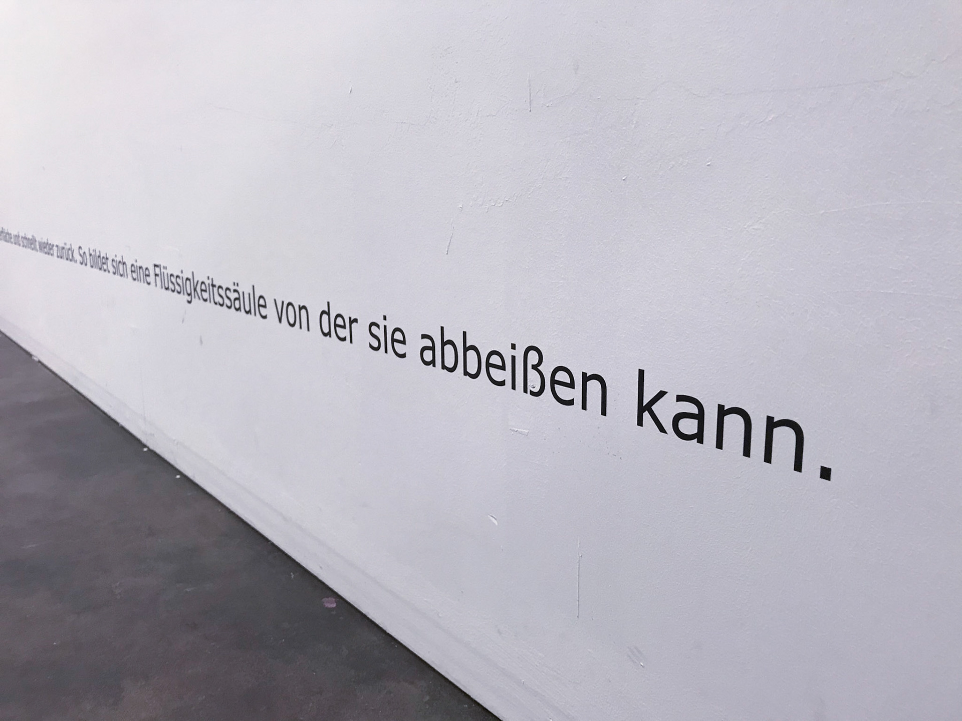 meine Katze | Detailansicht