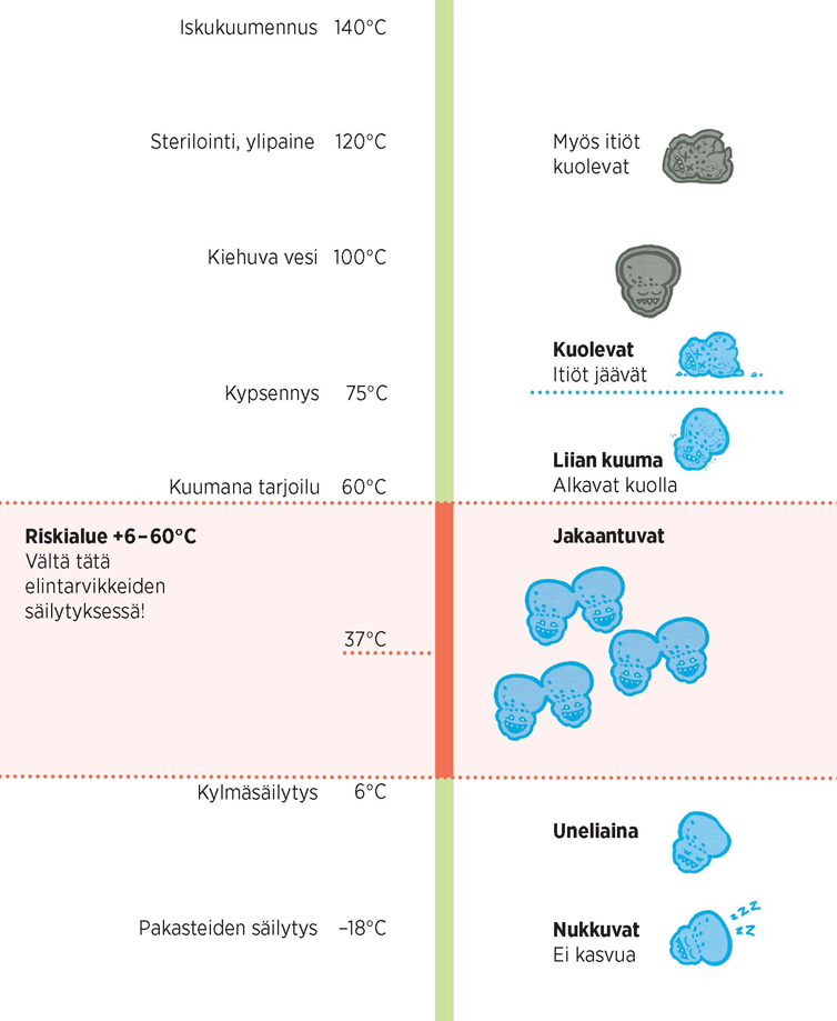 Antti Ollikainen - Ruokaa hygieenisesti