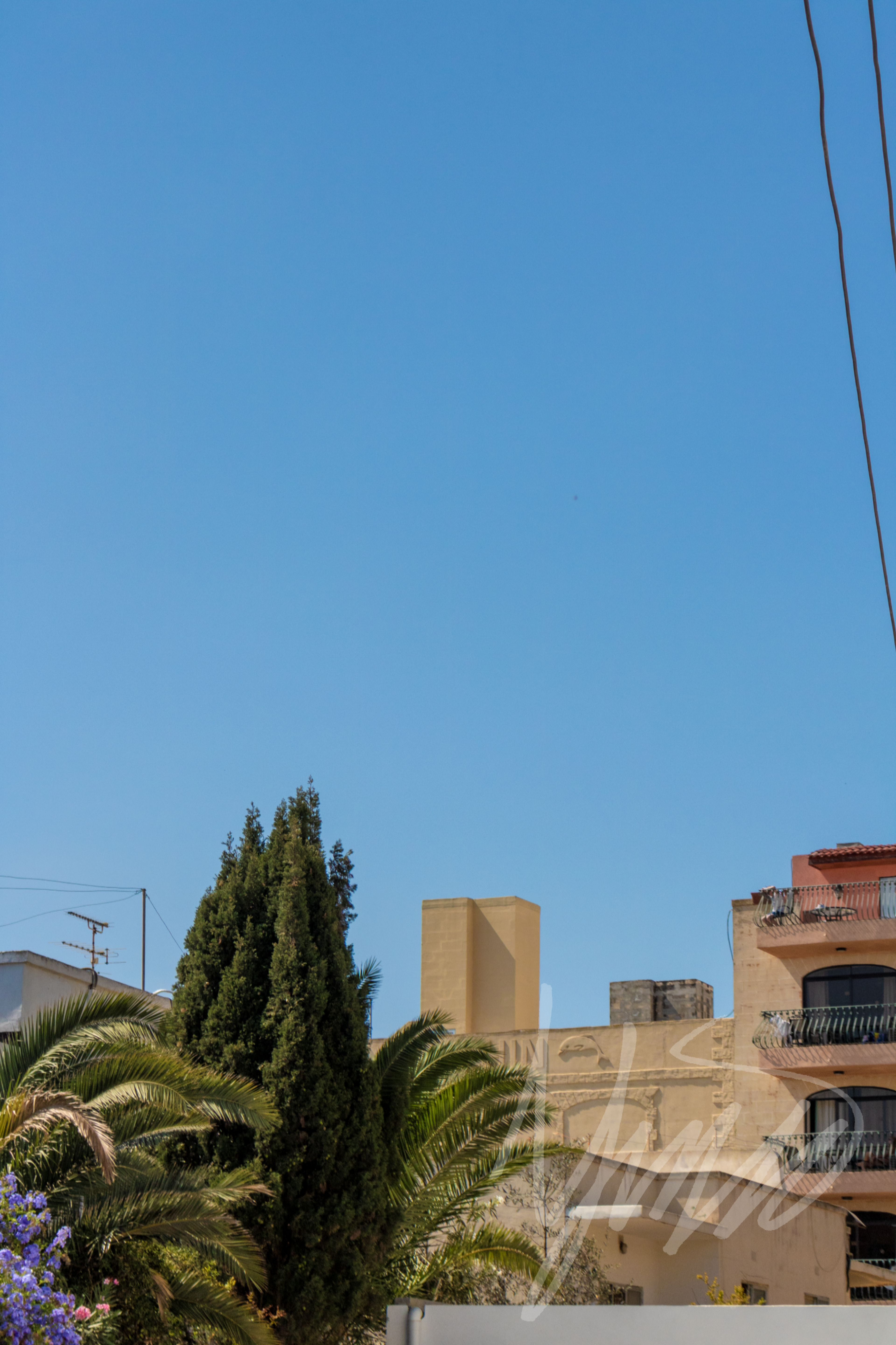 Maltese Living