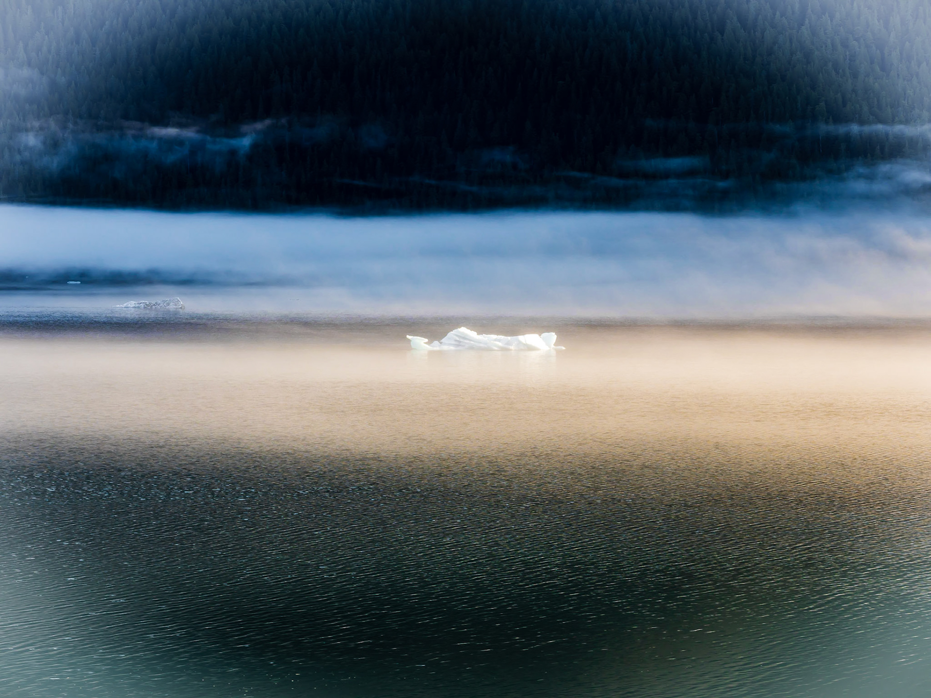 Dawes Glacier Iceflow from the Celebrity Millennium