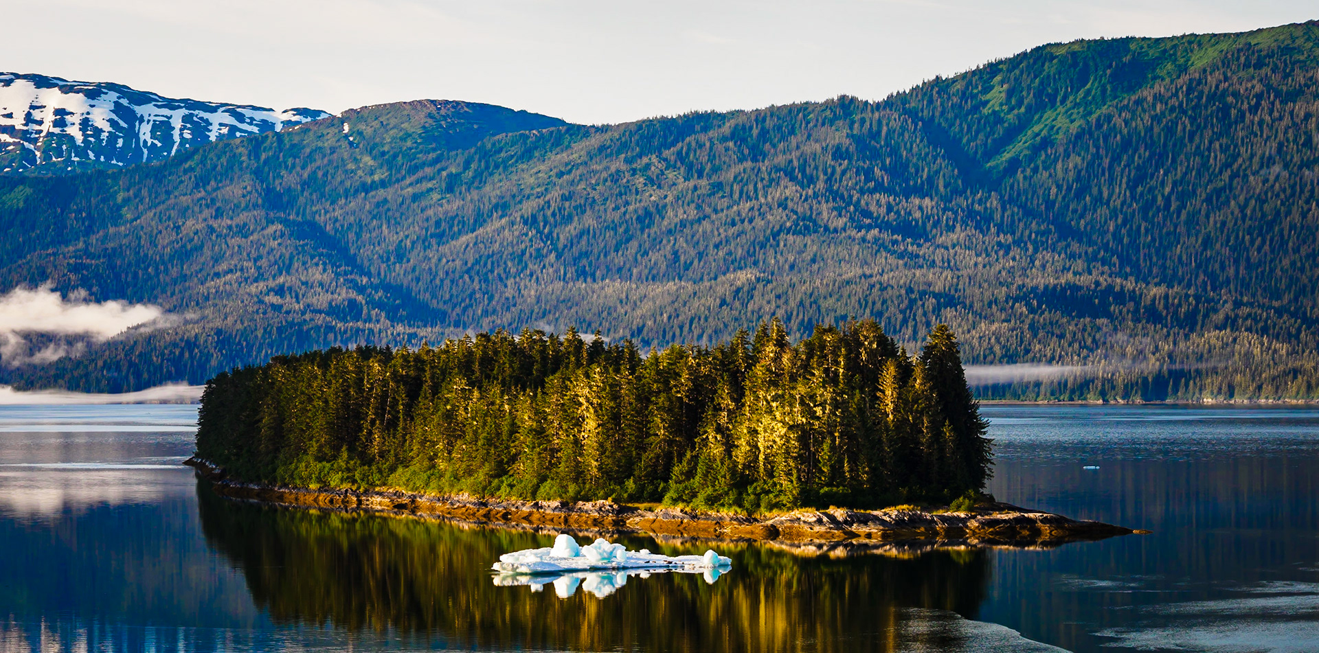 Endicott Arm Shoreline from the Celebrity Millennium