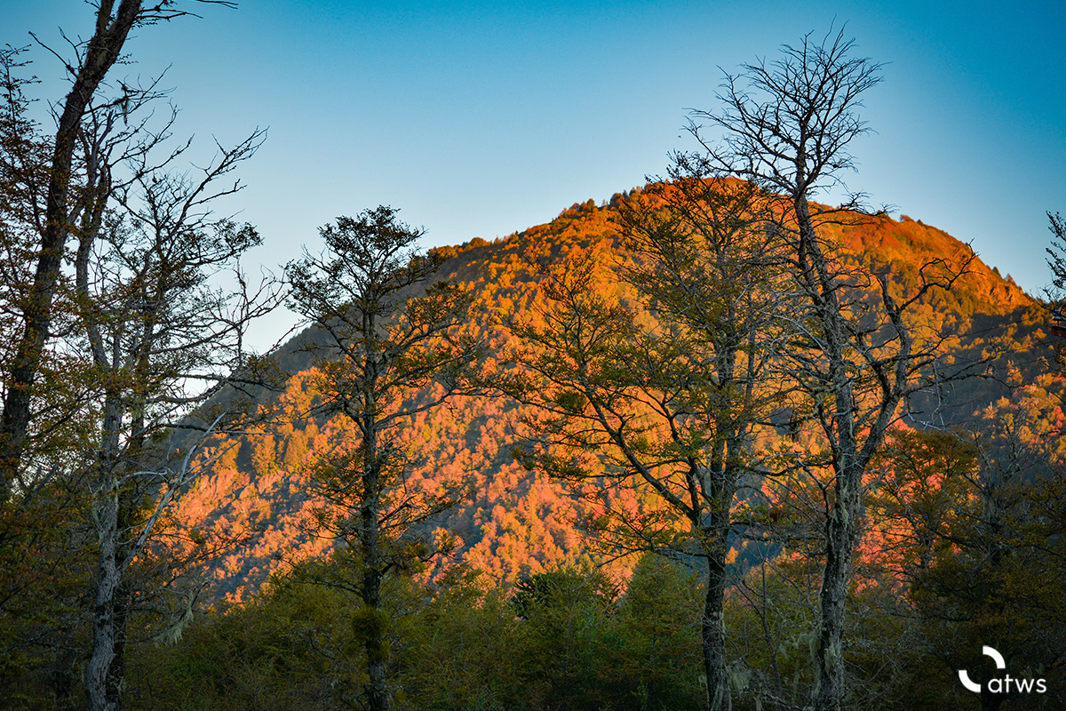 Sur de Chile en otoño