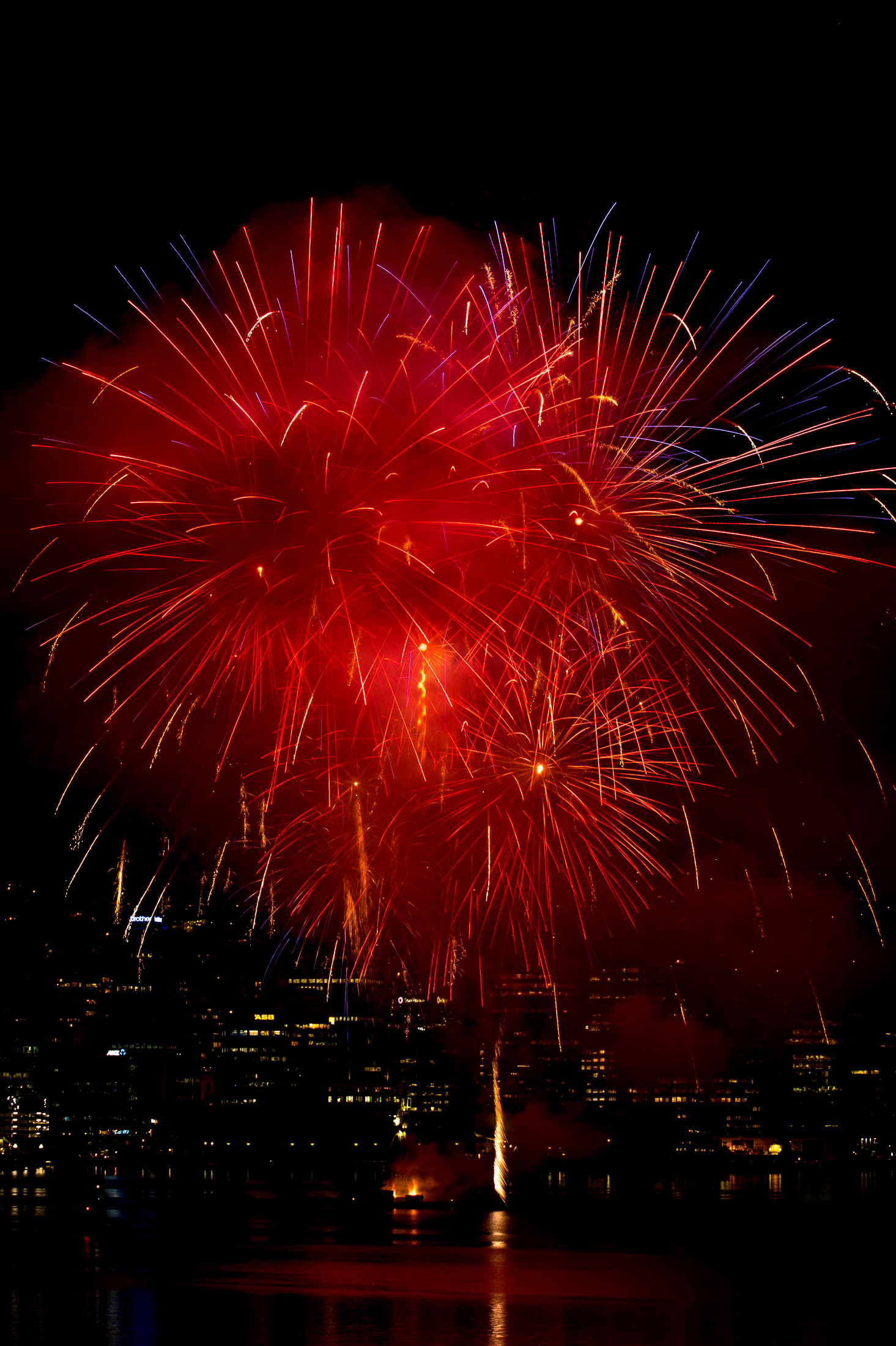 Guy Fawkes, Wellington NZ