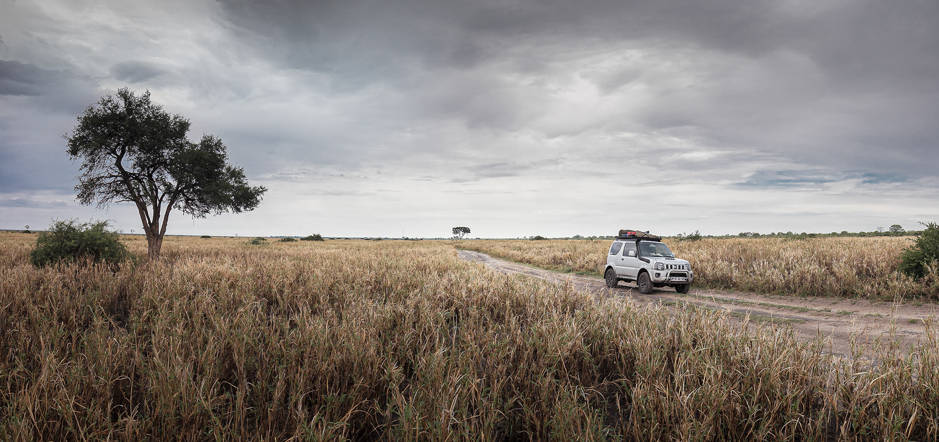 My Travel Companion - Travel through the Savuti (Botswana) 2017